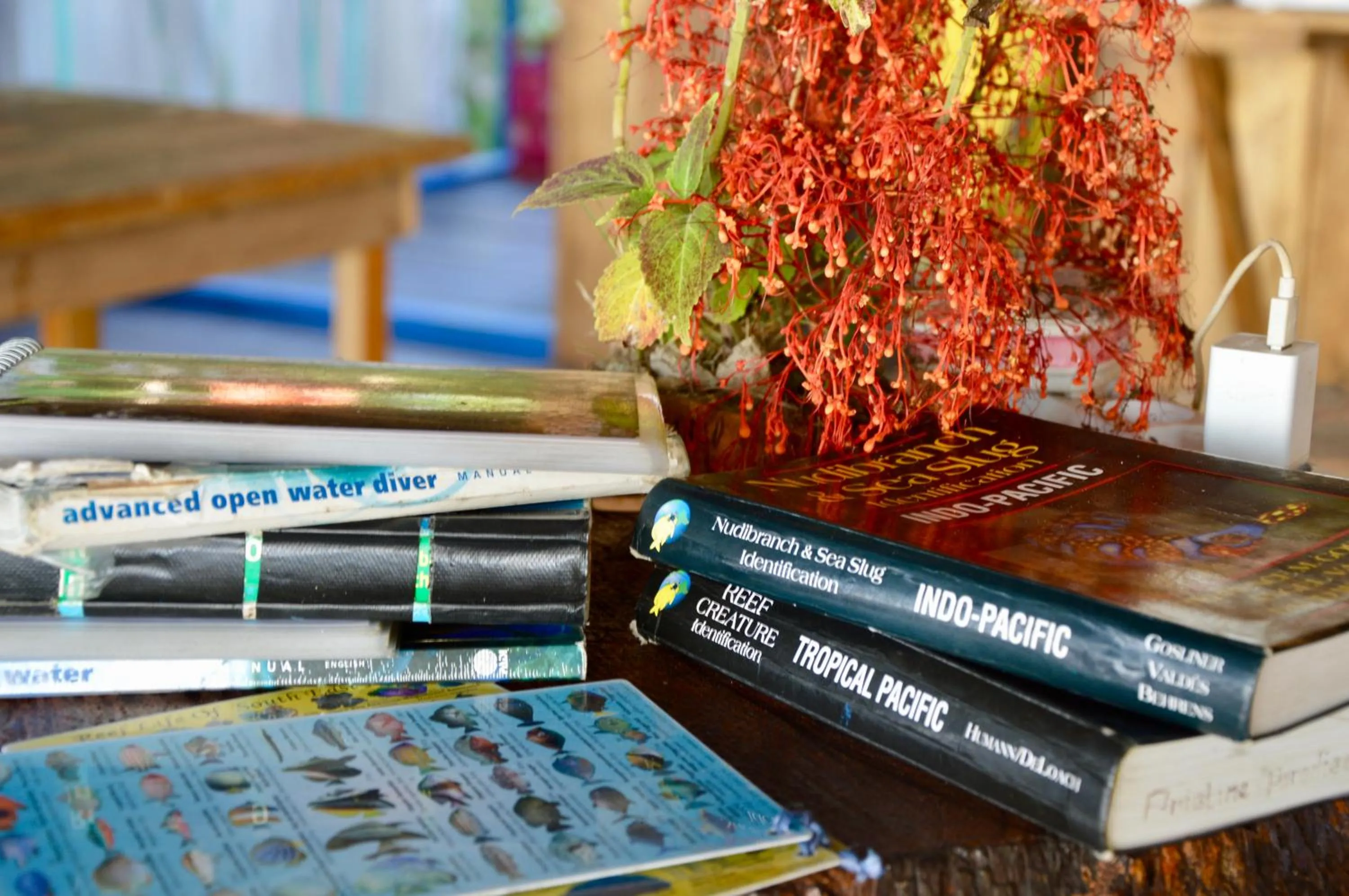 Fishing in Pristine Paradise Dive Resort - Togean Islands, Una Una