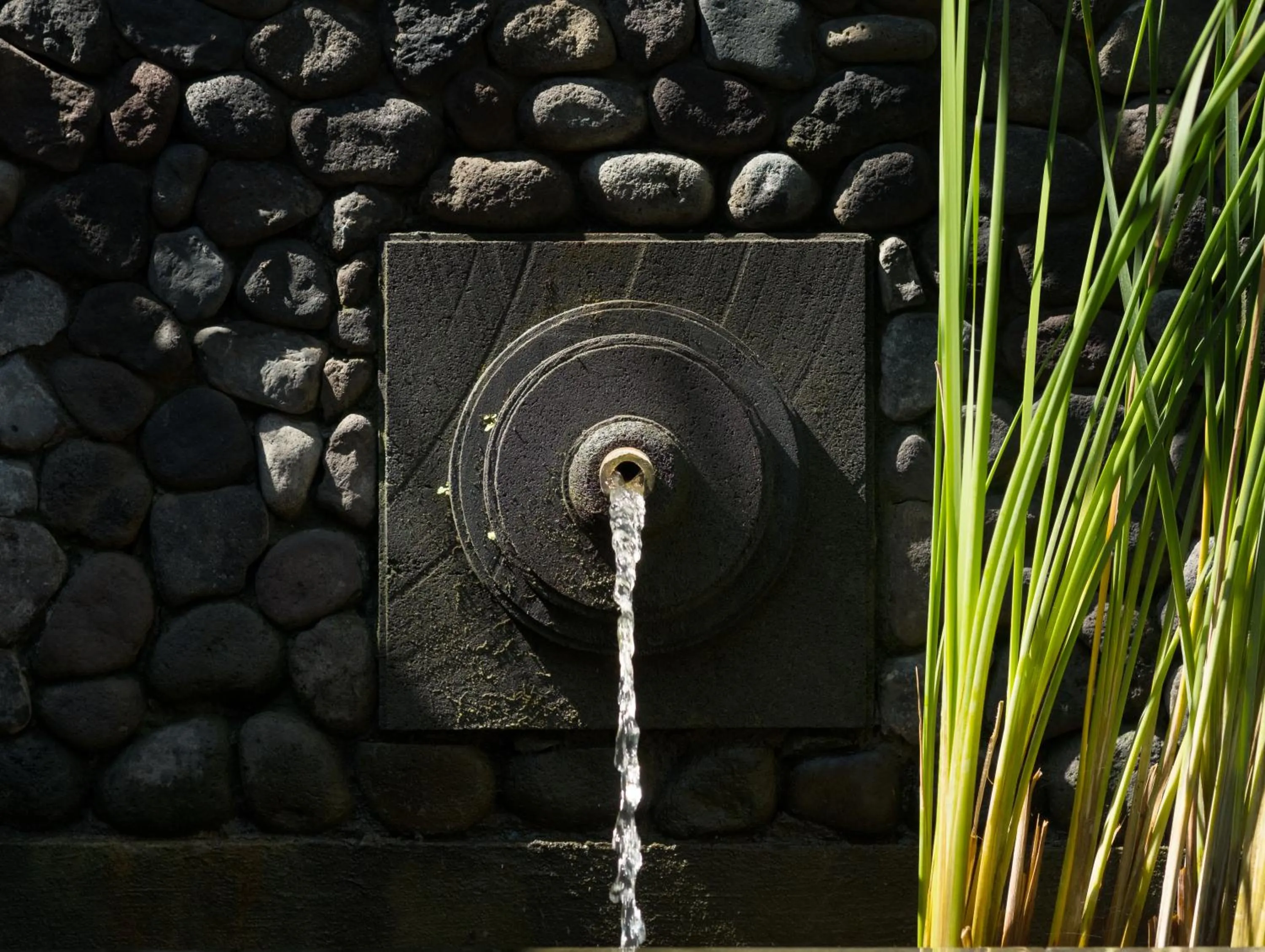 Decorative detail in Atelier TE Designer Guesthouse