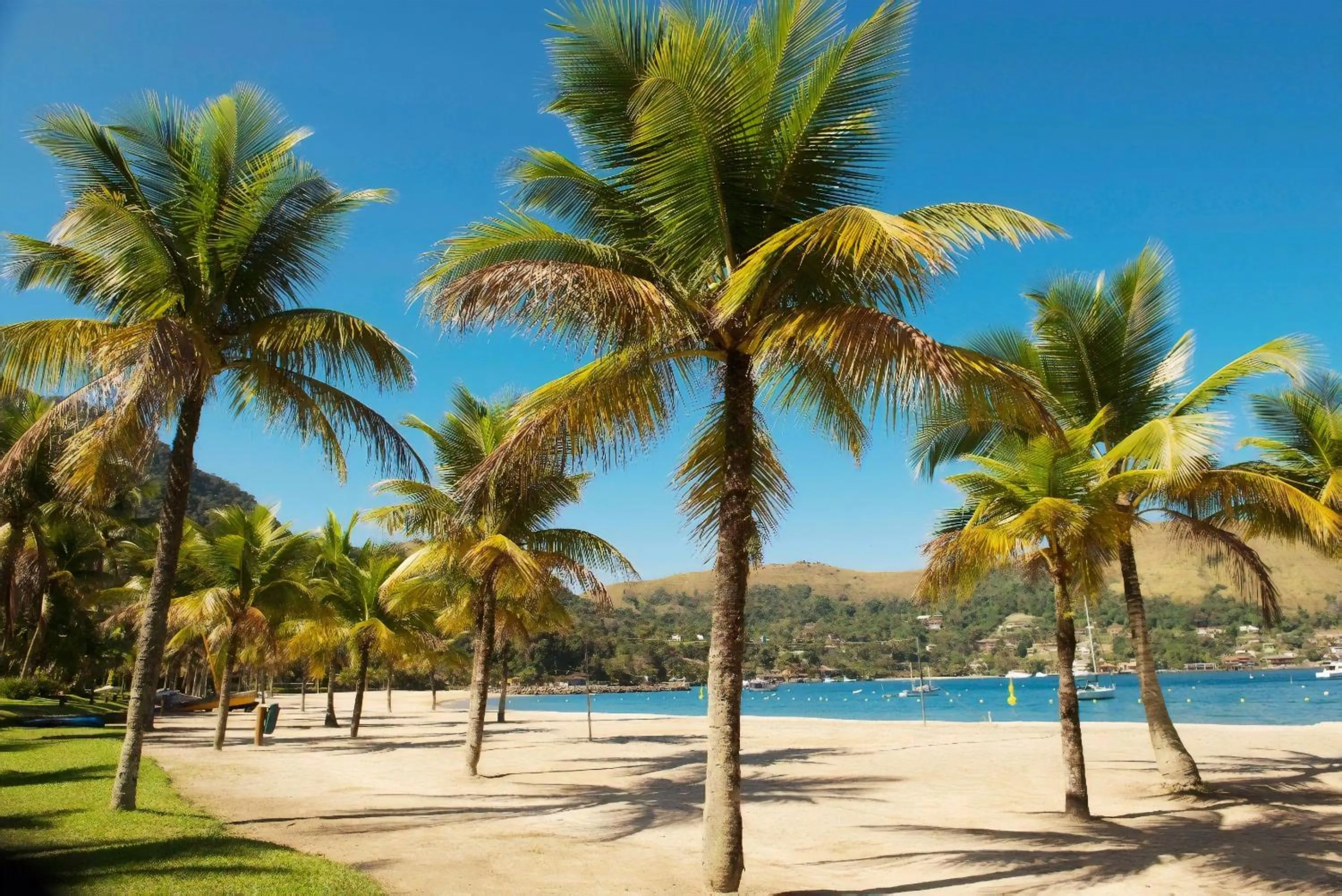 Beach in Flat no Portogalo