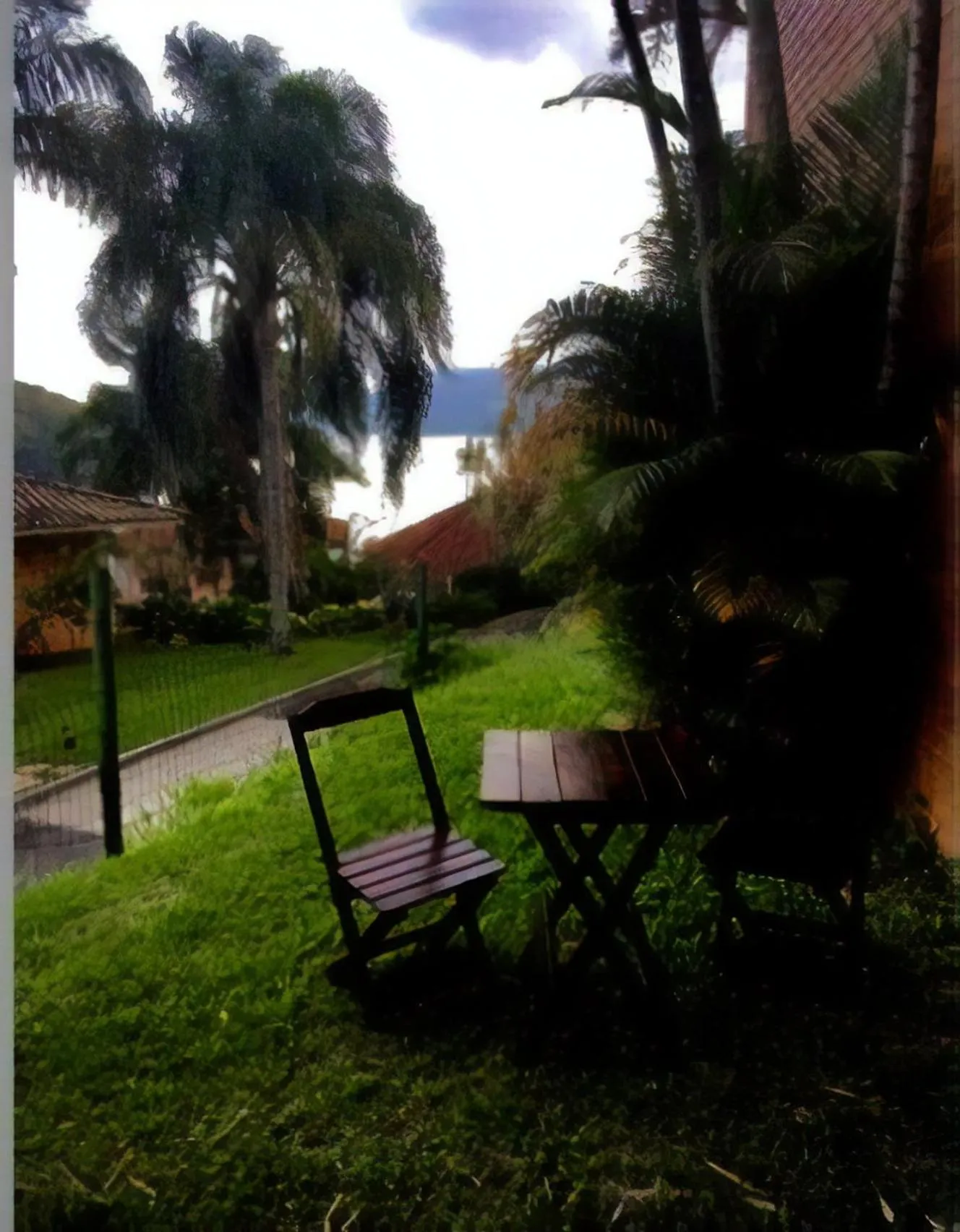 Garden in Flat no Portogalo