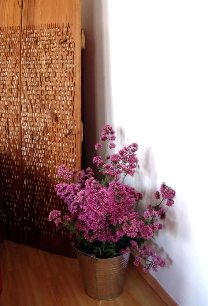 Decorative detail in Hotel La Tinensa