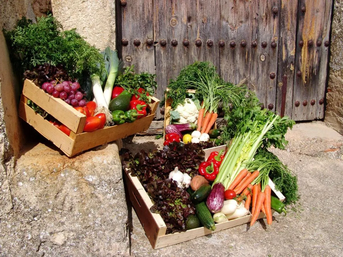 Food and drinks in Hotel La Tinensa