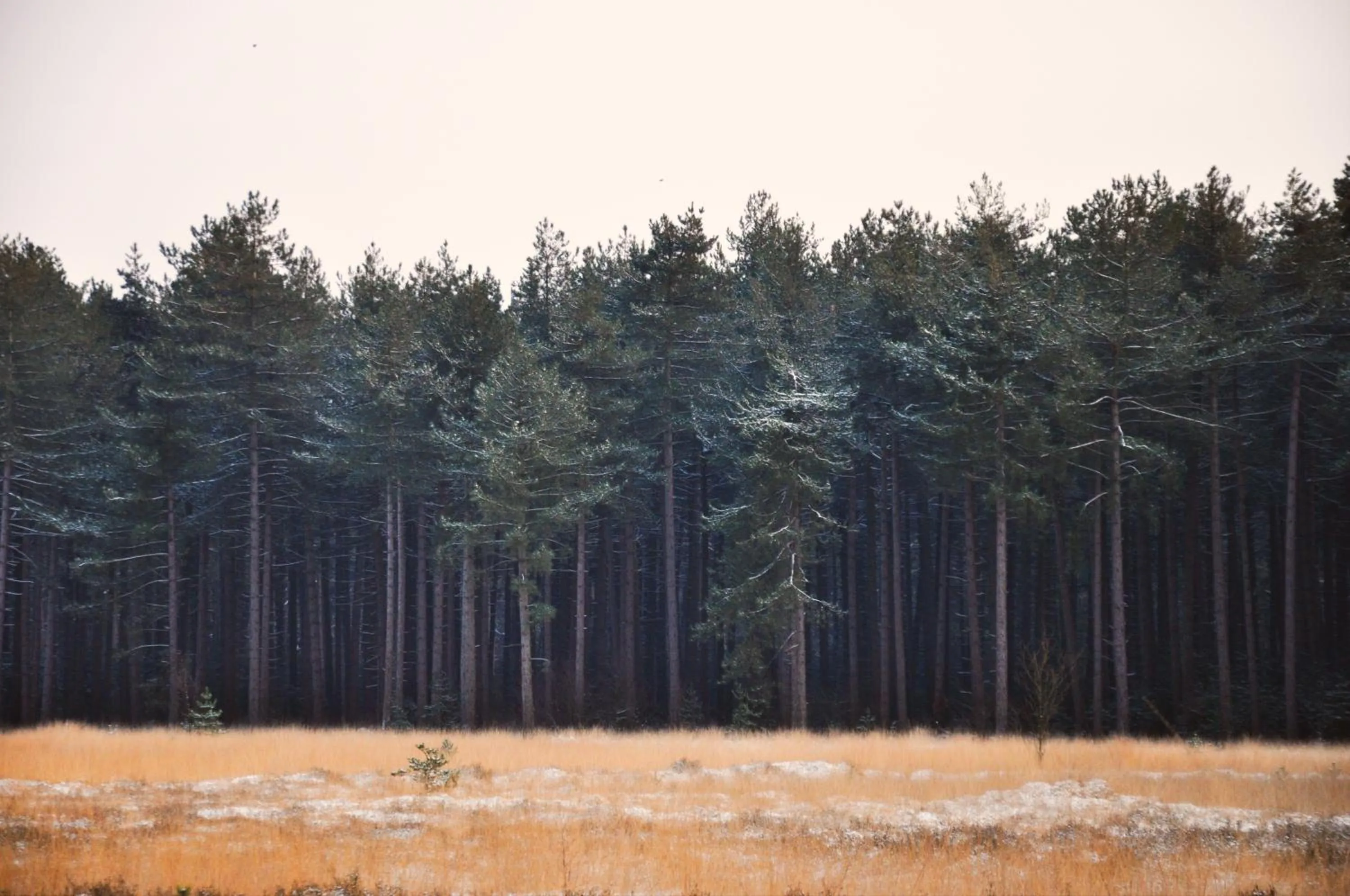 Nearby landmark in Hotel Jerom