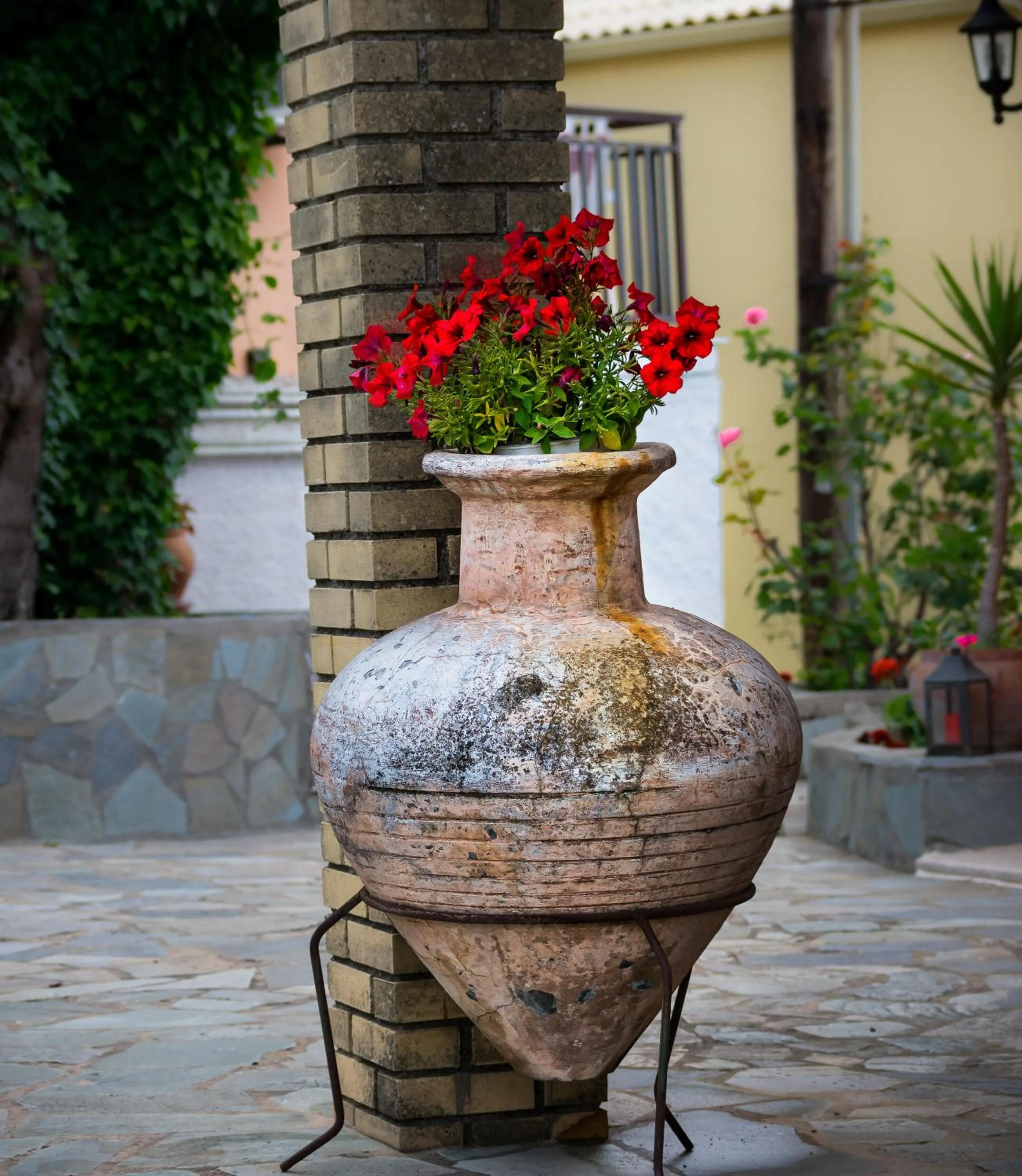 Garden in Oasis Hotel