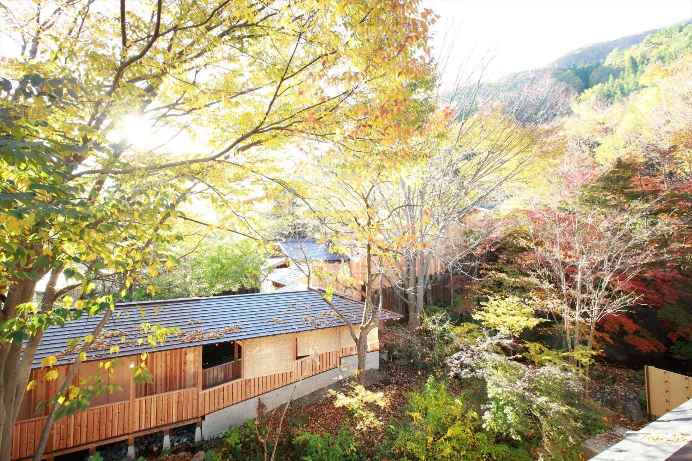 Property building in Syoubun