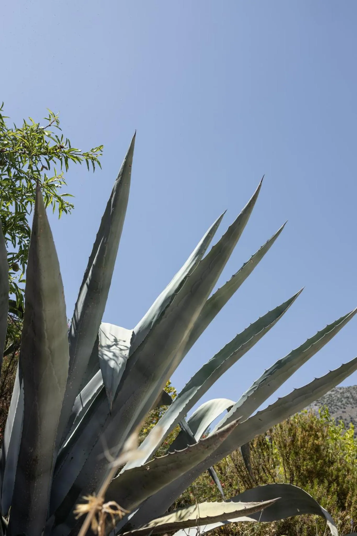 View (from property/room) in Petritis Guesthouse