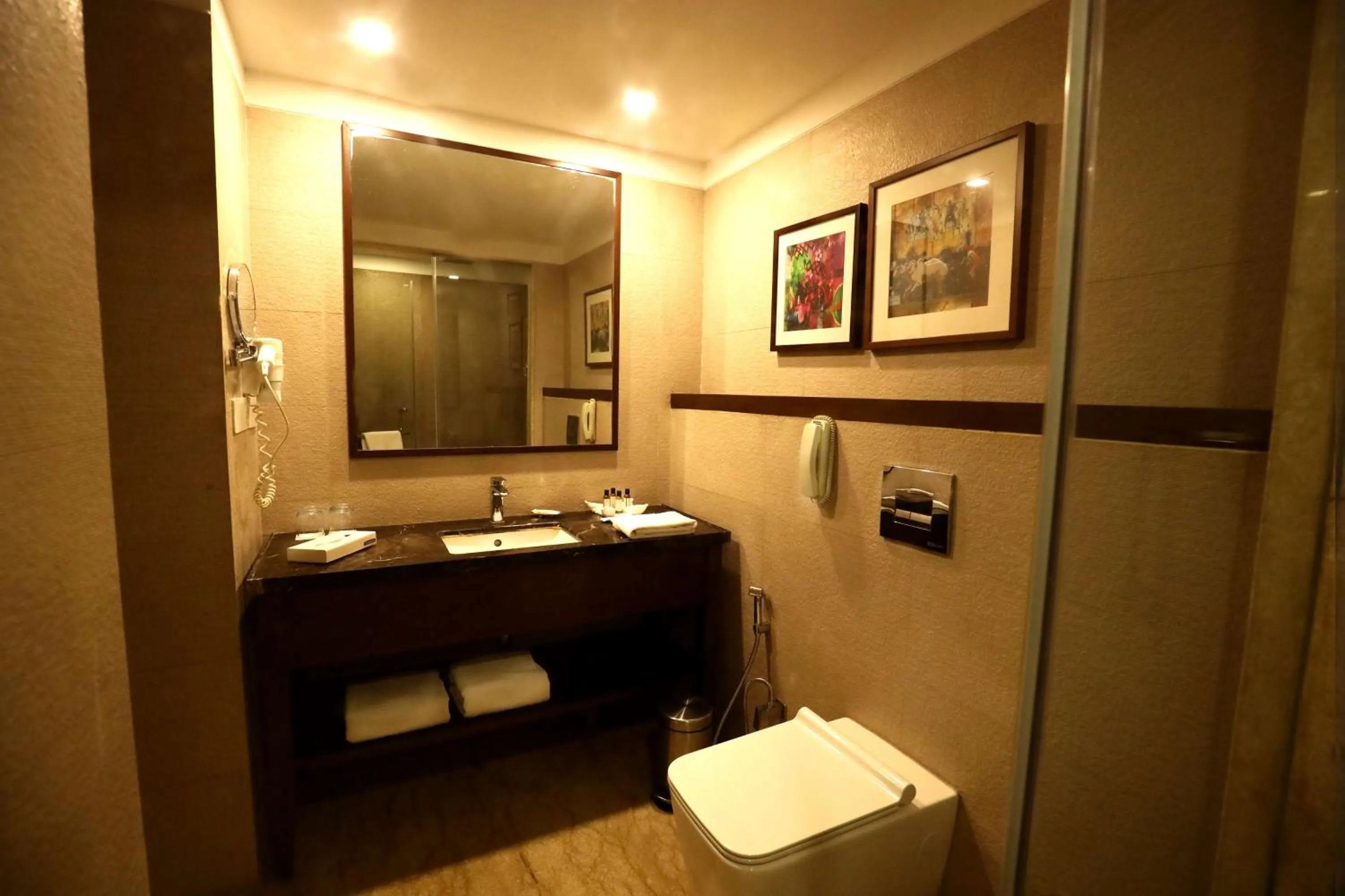 Bathroom in Best Western Plus Jalandhar