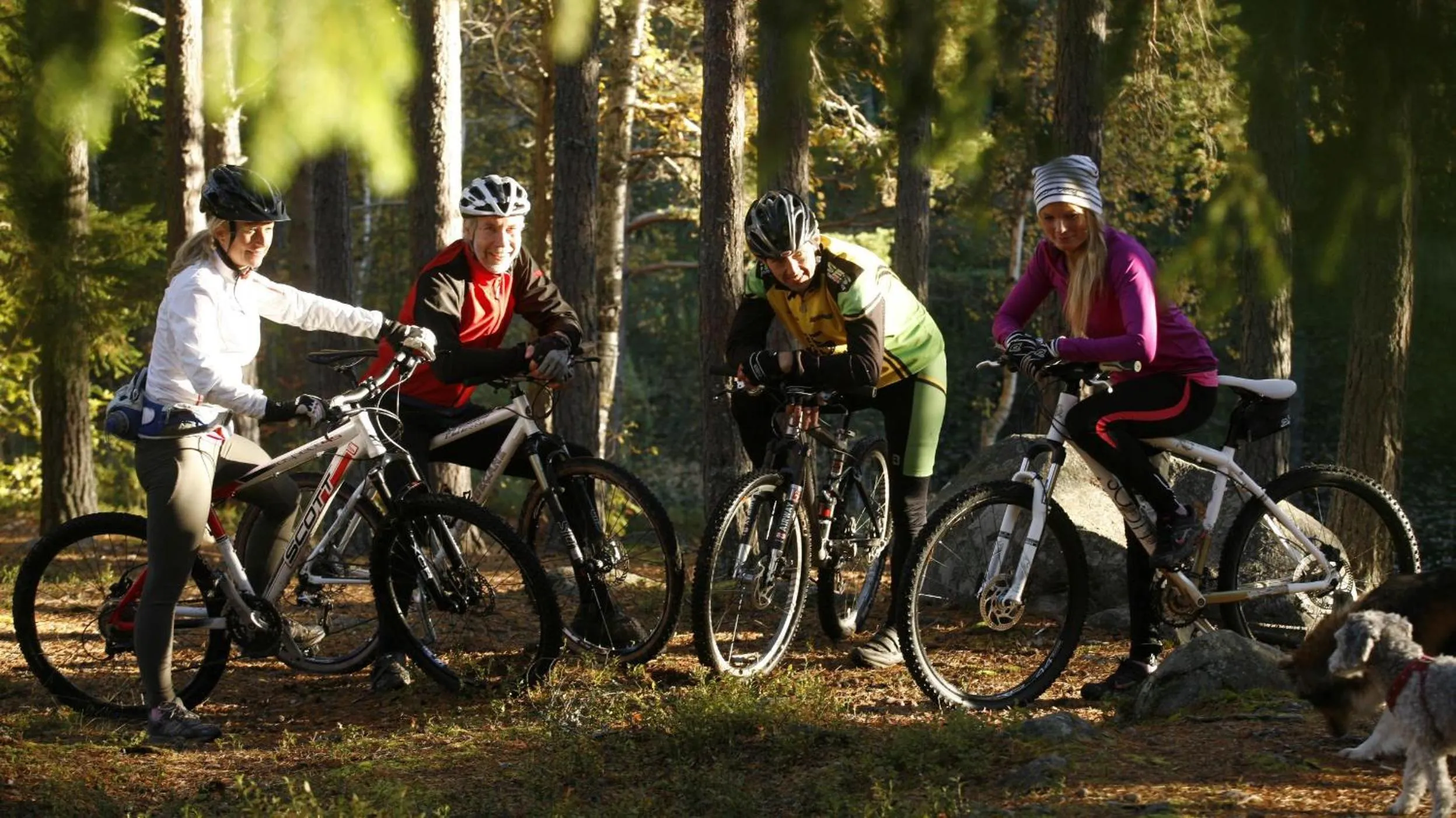 Cycling in Bergshotellet