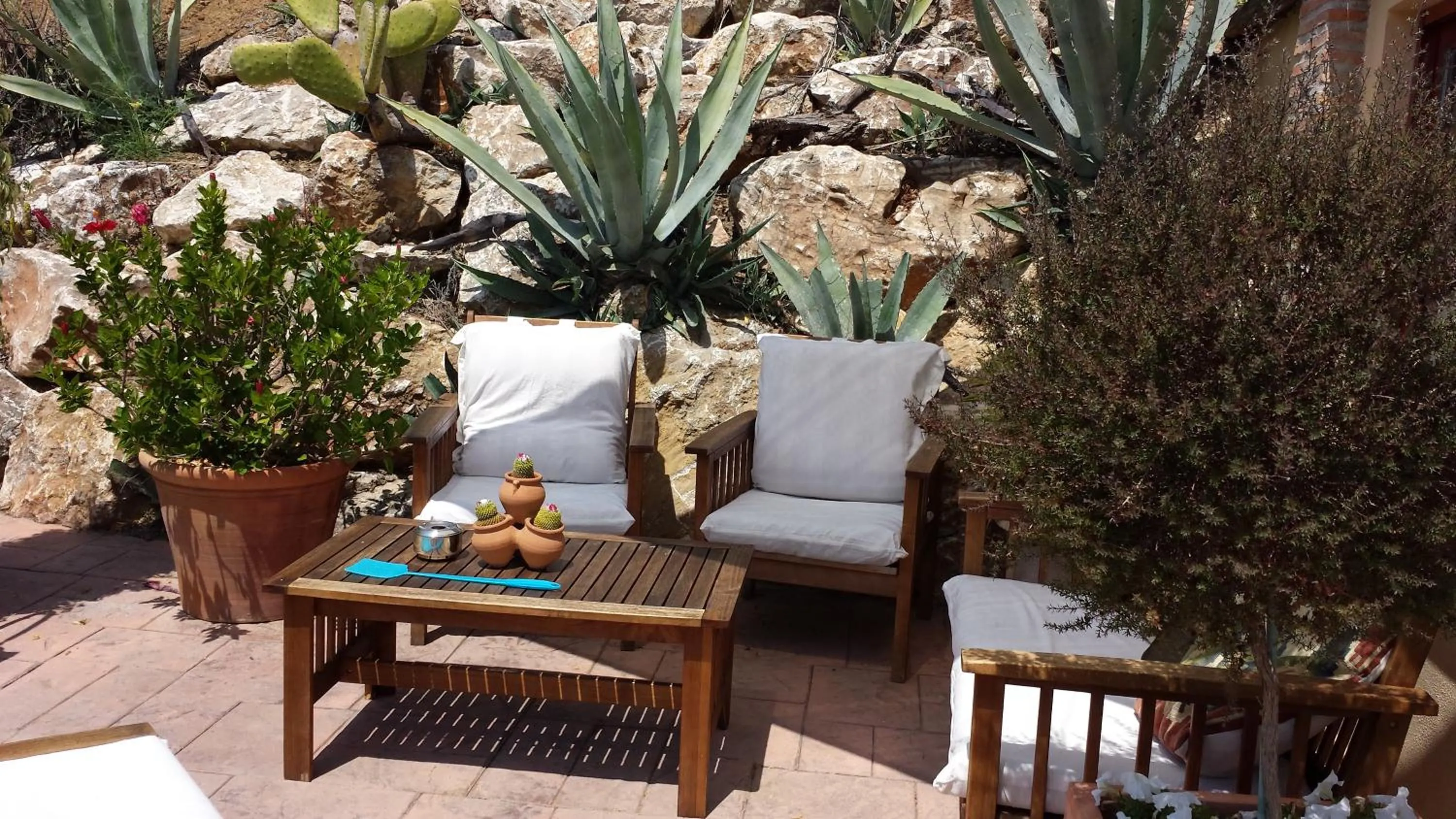 Balcony/Terrace in Bed & Breakfast | Guest House Casa Don Carlos