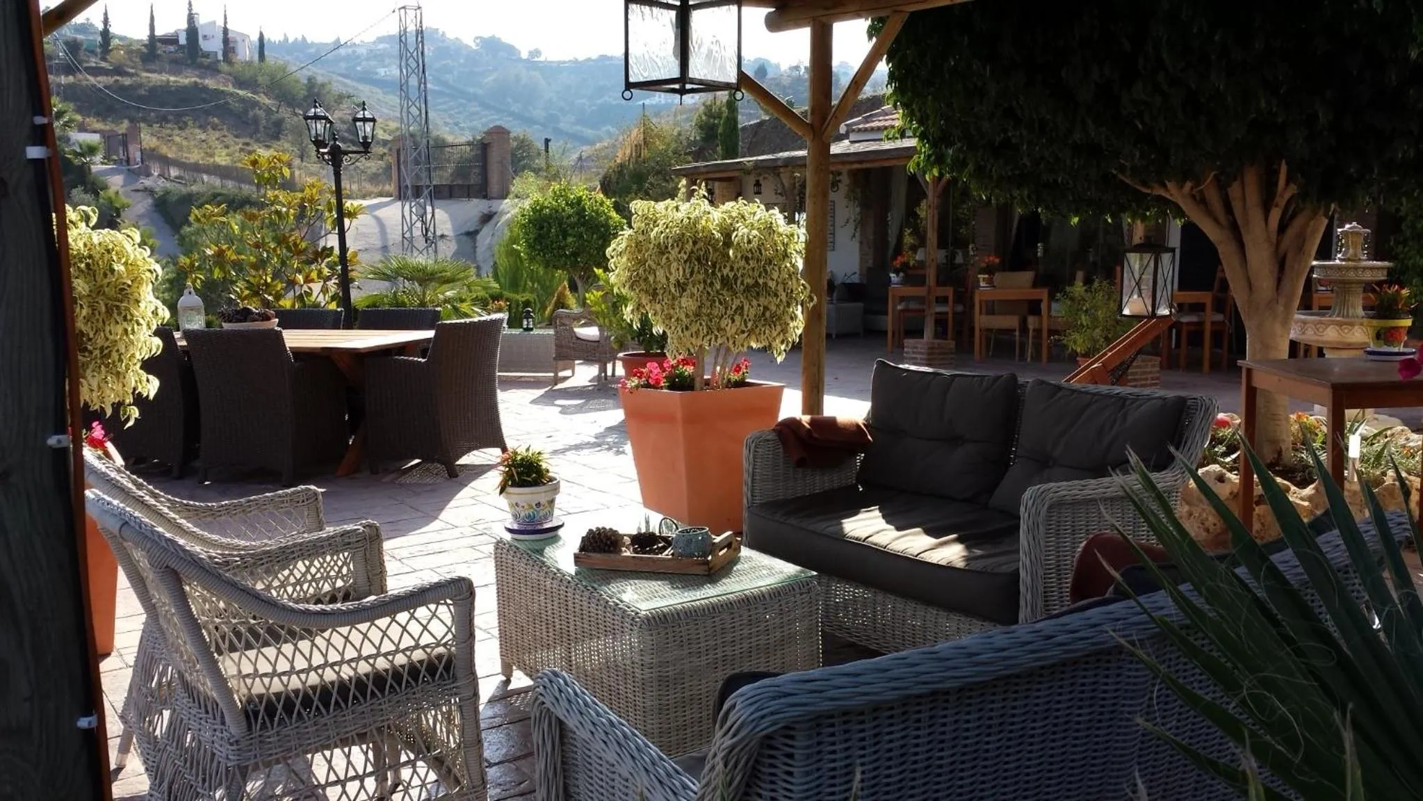 Balcony/Terrace in Bed & Breakfast | Guest House Casa Don Carlos