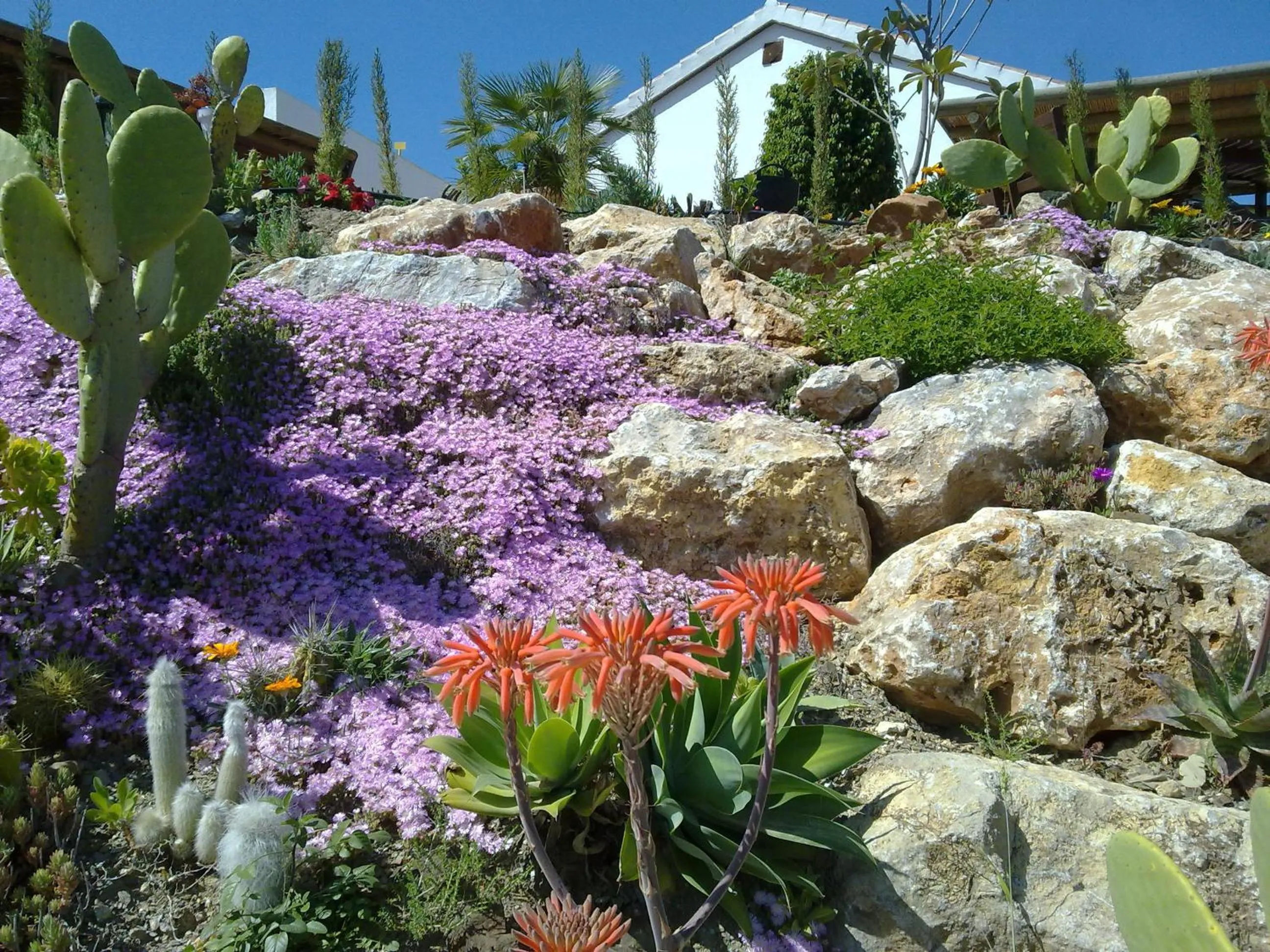 Garden in Bed & Breakfast | Guest House Casa Don Carlos