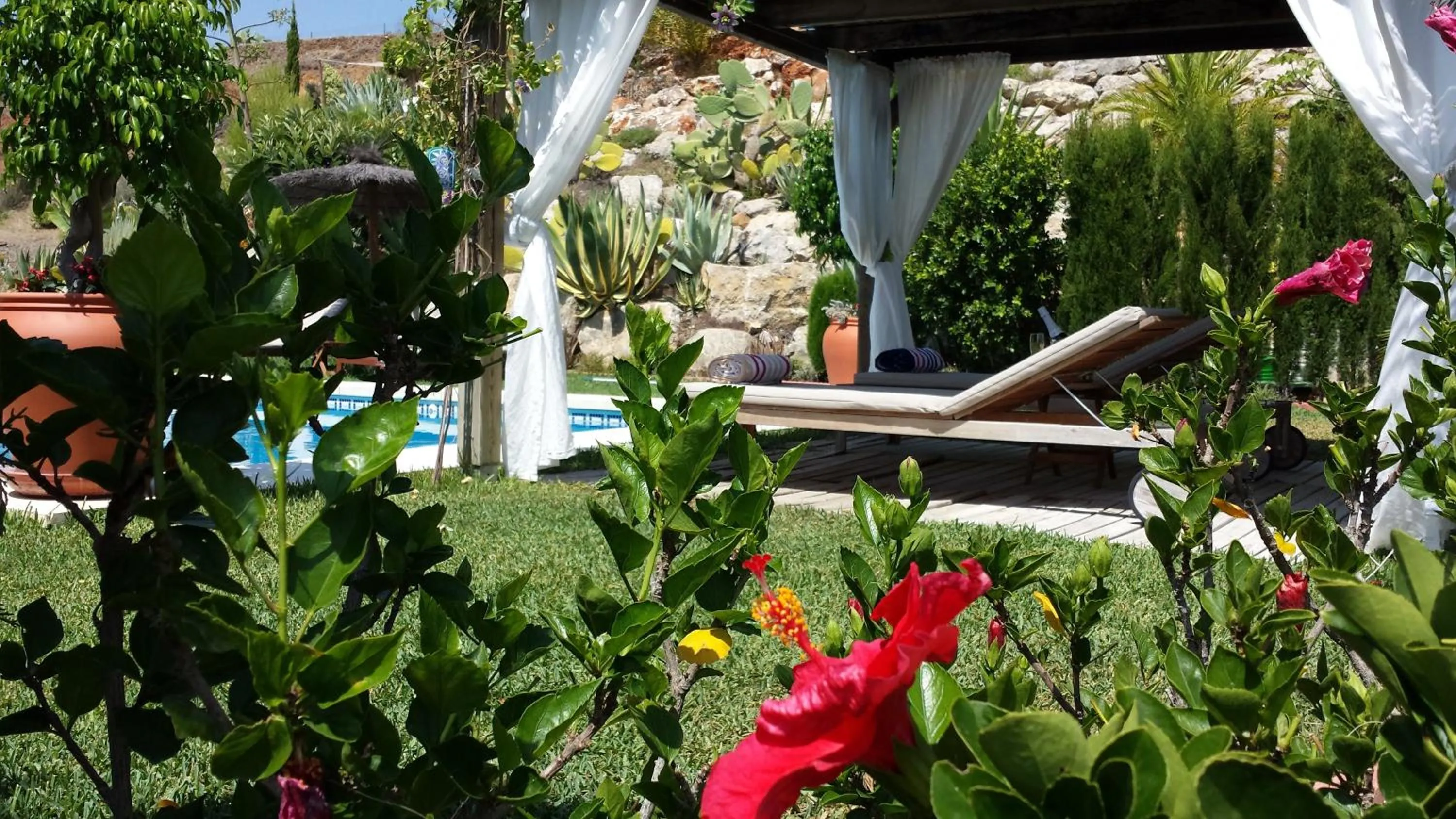 Swimming pool in Bed & Breakfast | Guest House Casa Don Carlos