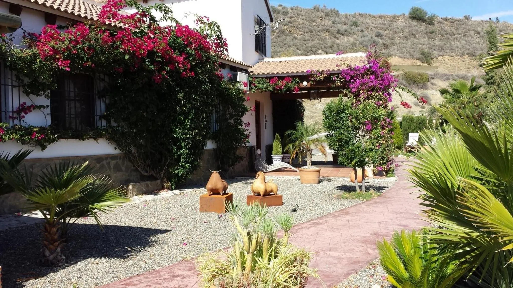 Garden in Bed & Breakfast | Guest House Casa Don Carlos