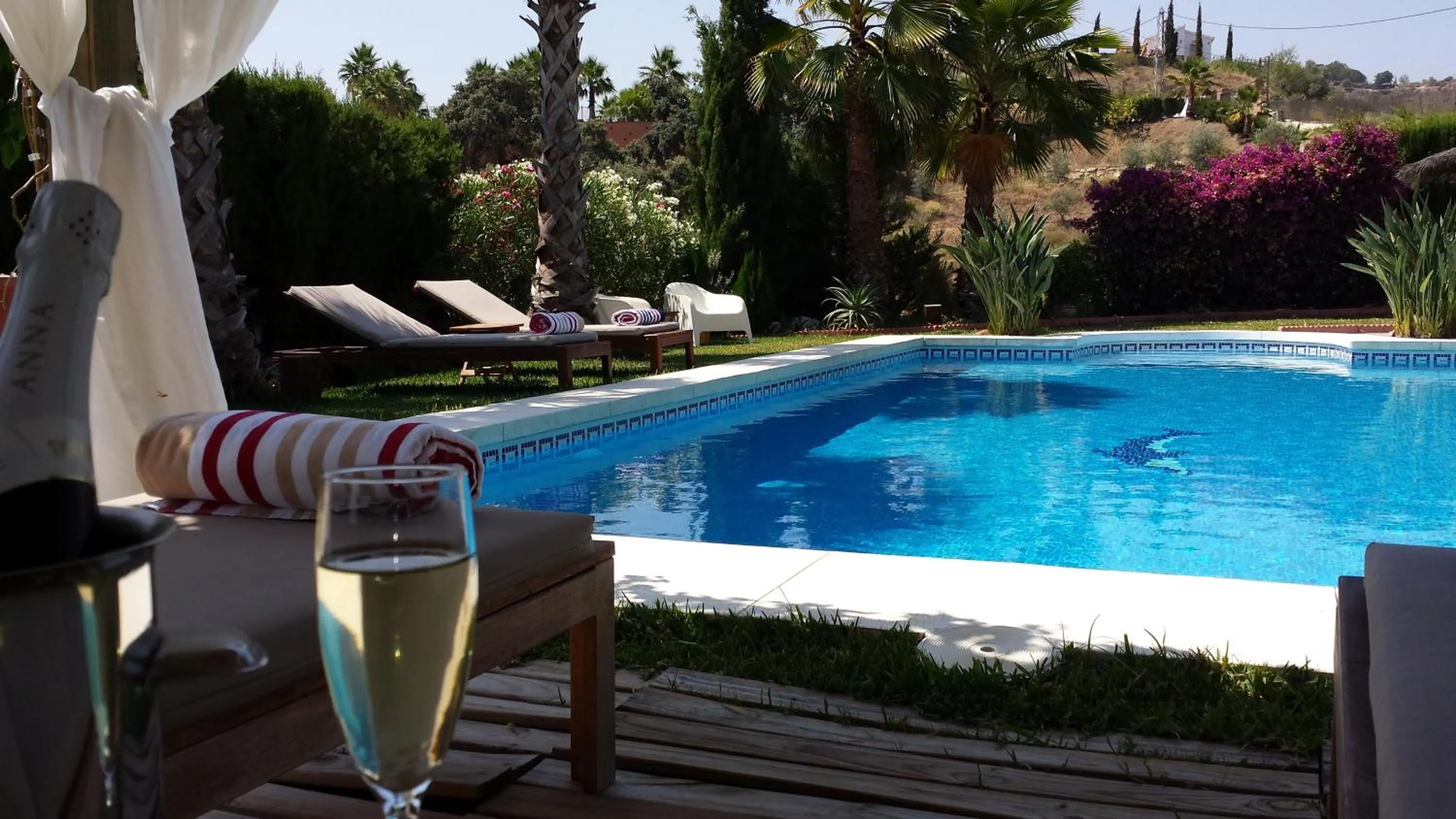 Swimming pool in Bed & Breakfast | Guest House Casa Don Carlos