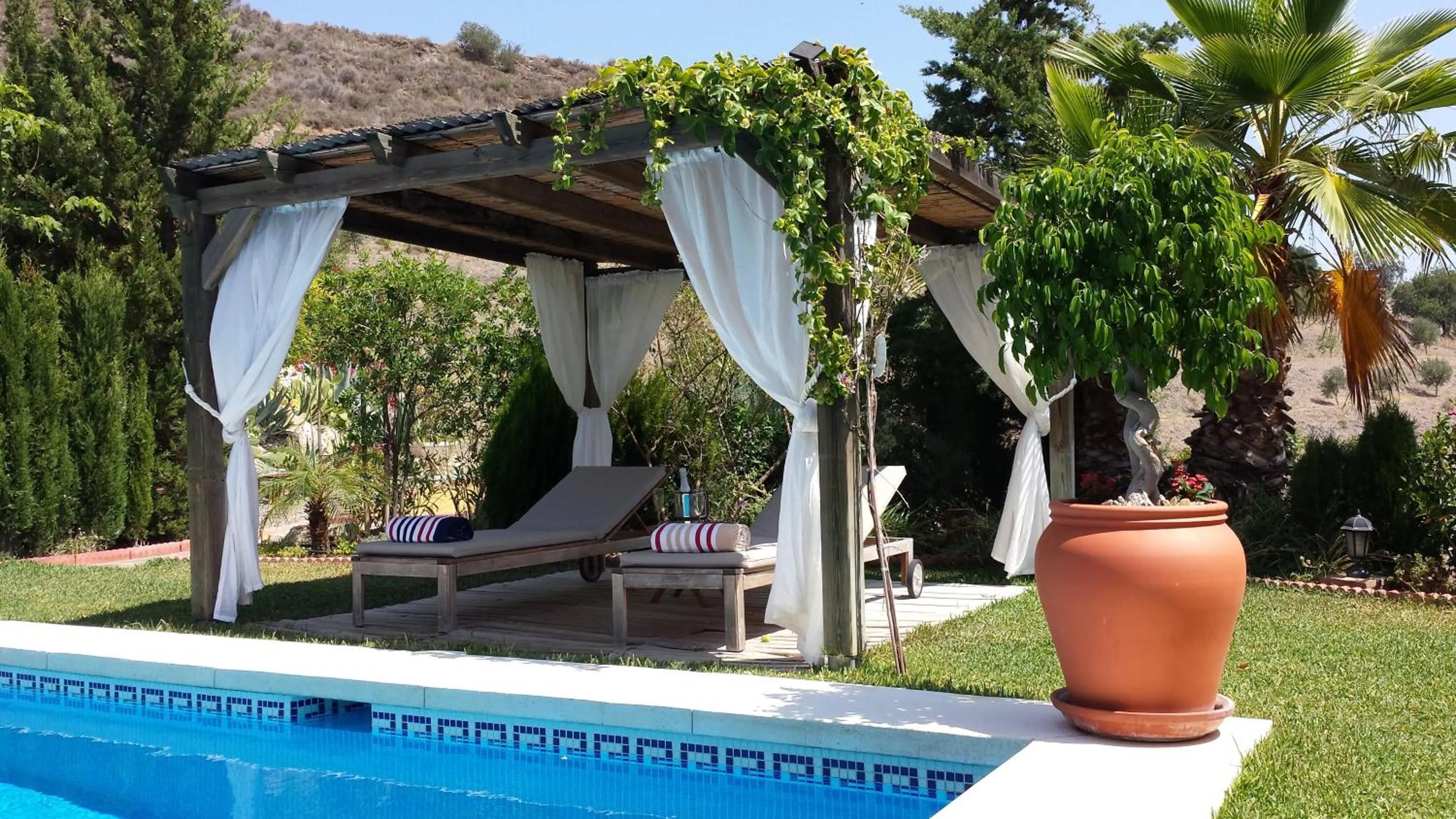 Swimming pool in Bed & Breakfast | Guest House Casa Don Carlos