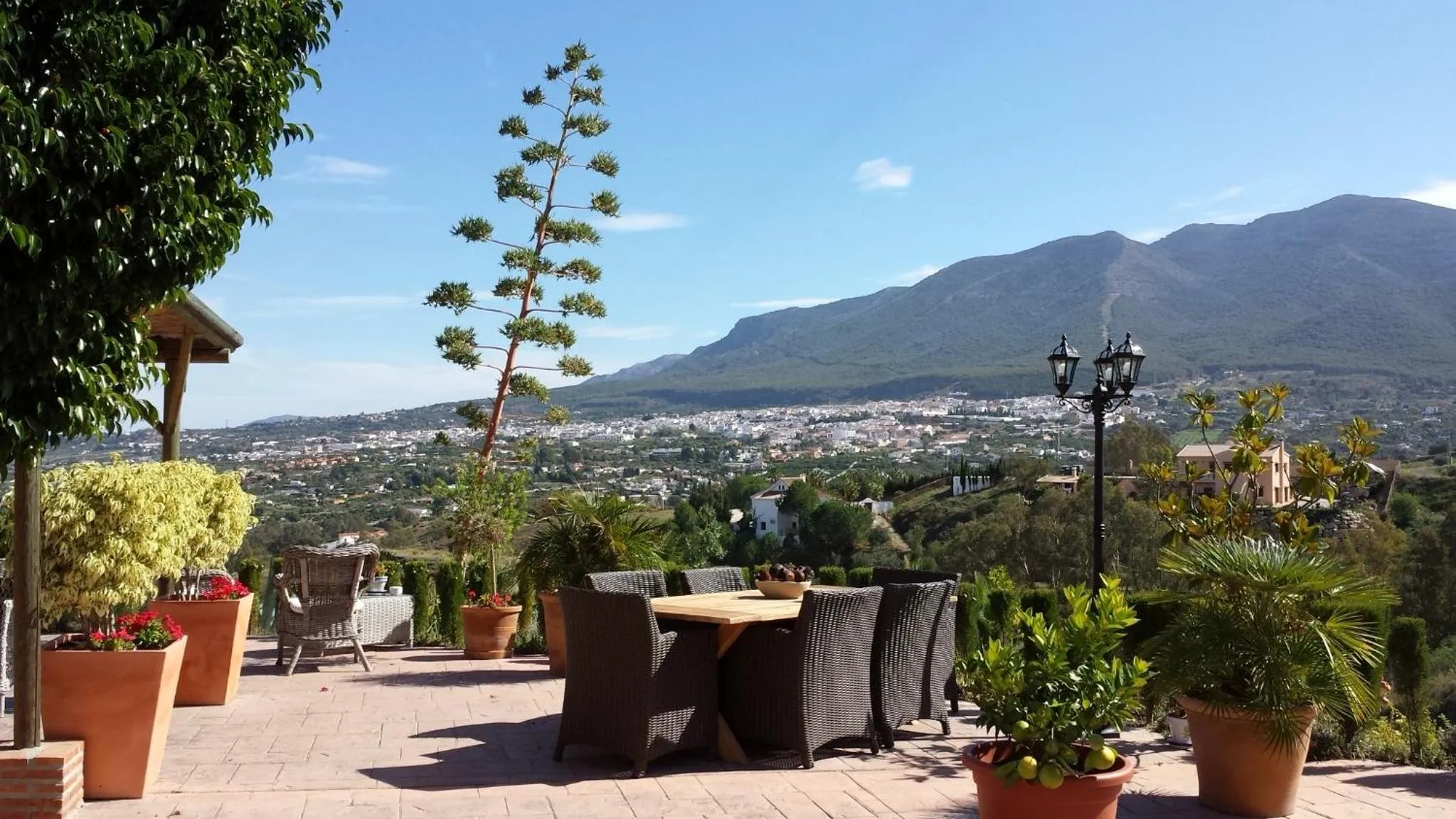 Balcony/Terrace in Bed & Breakfast | Guest House Casa Don Carlos