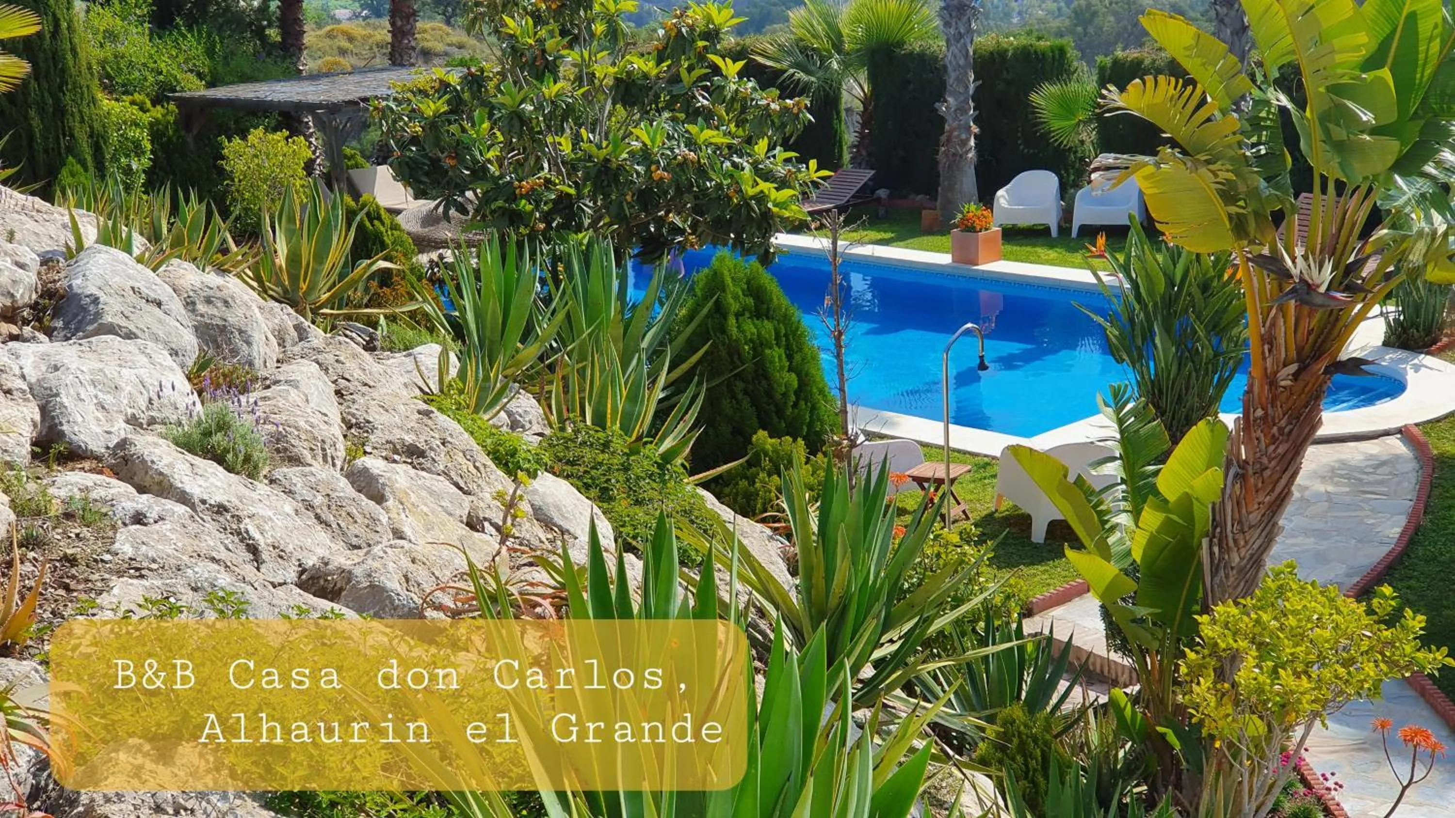 Pool view in Bed & Breakfast | Guest House Casa Don Carlos