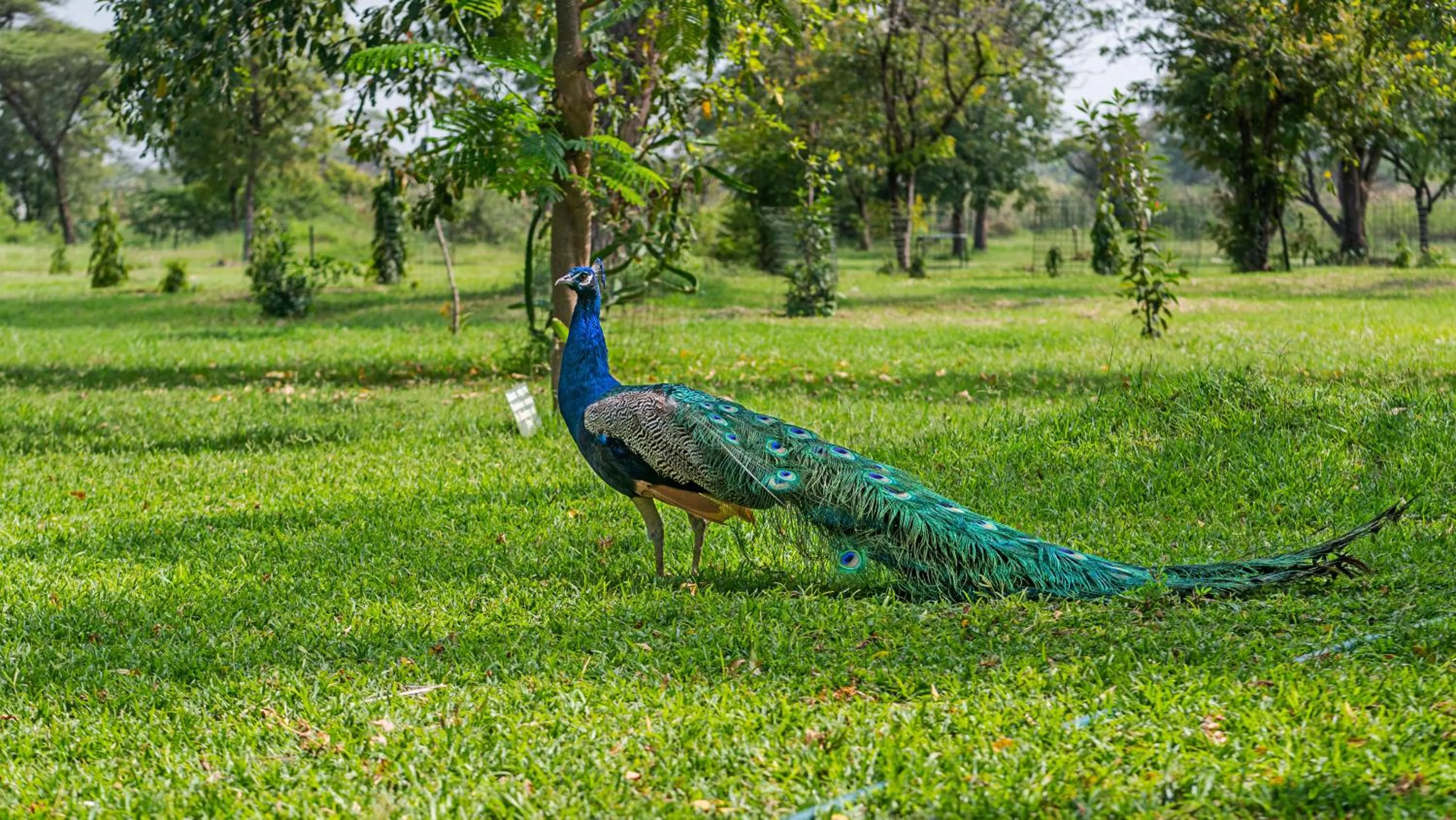 Other in Lake Bogoria Spa Resort
