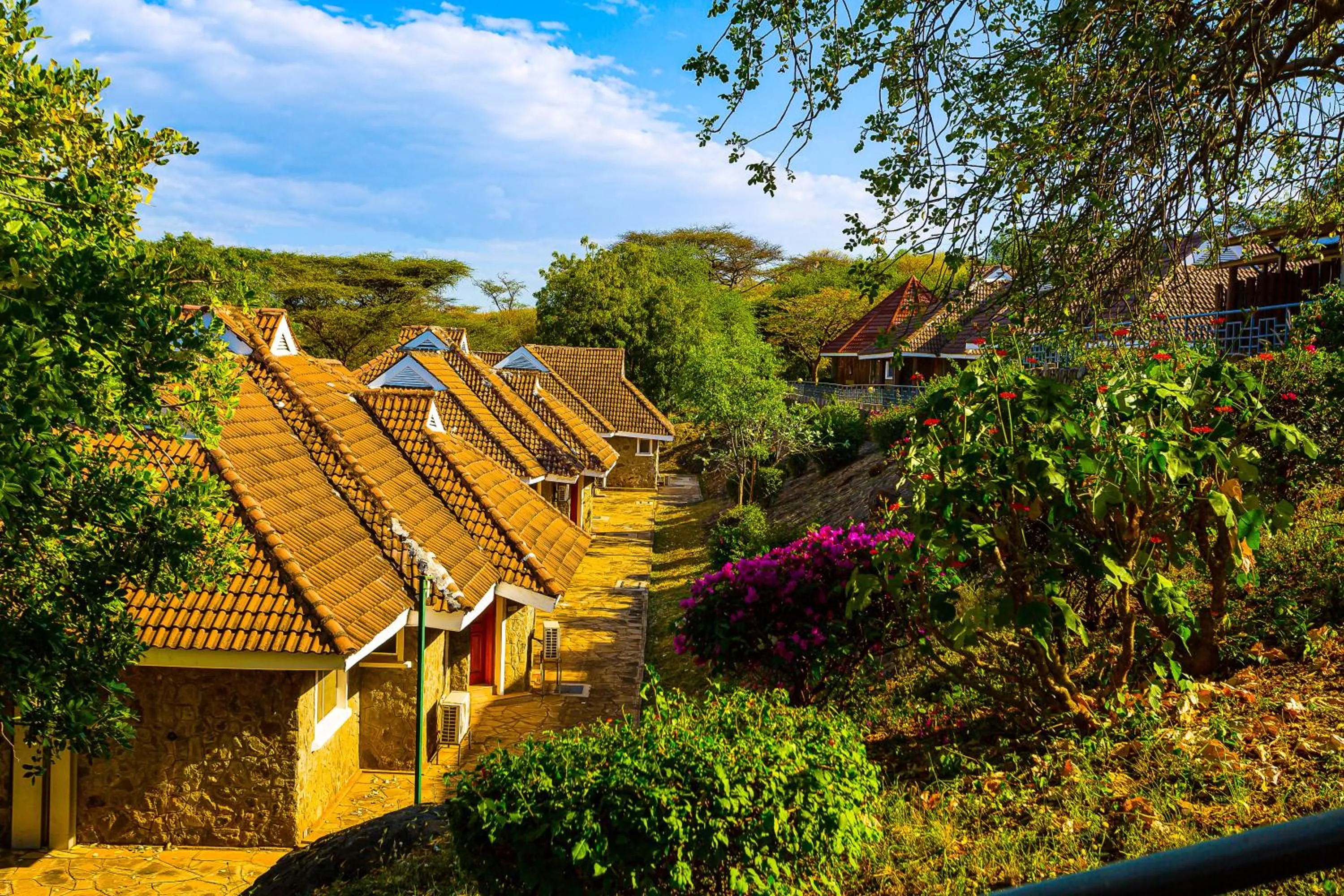 Property building in Lake Bogoria Spa Resort