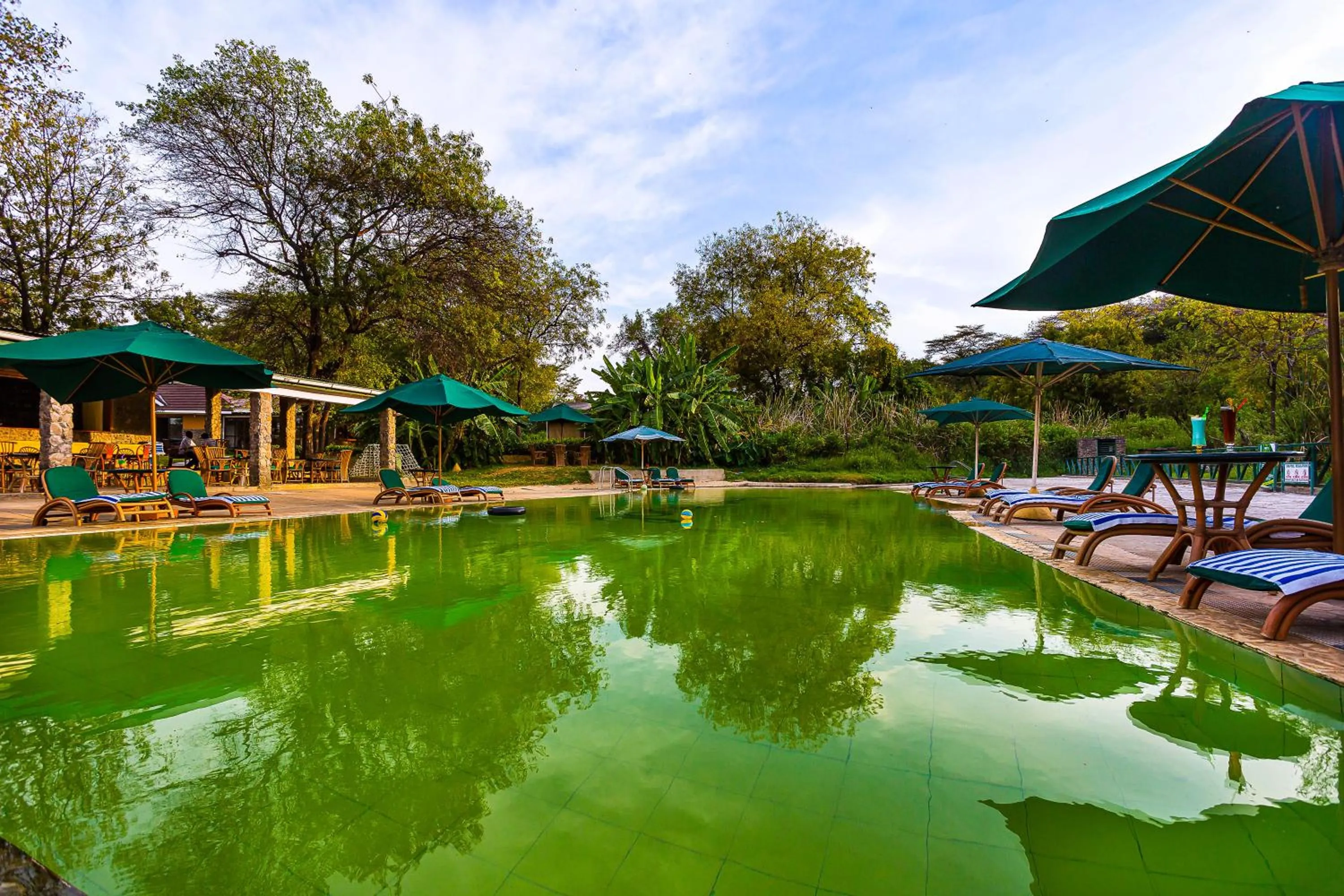 Spring in Lake Bogoria Spa Resort