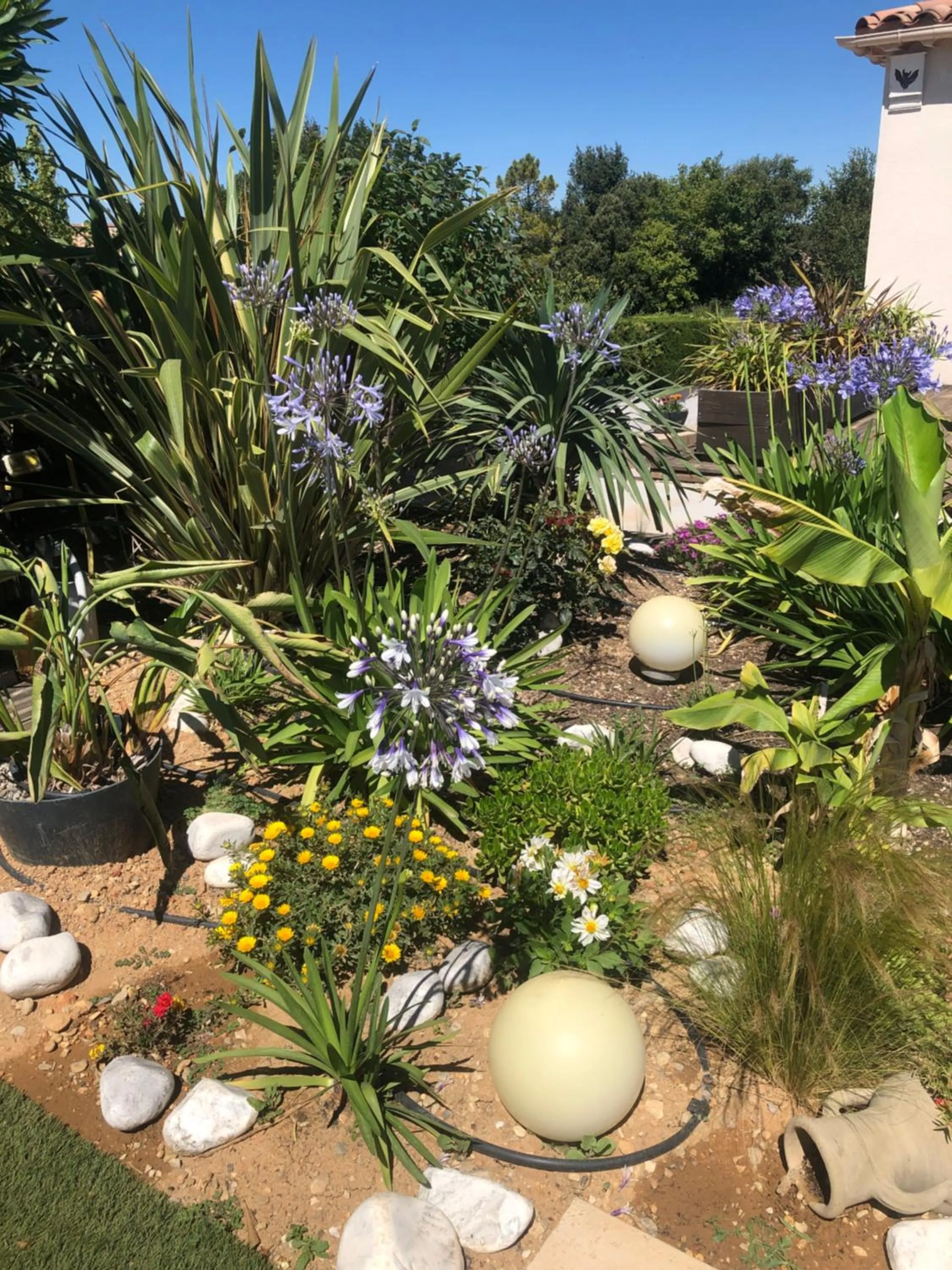 Garden in les costebelles