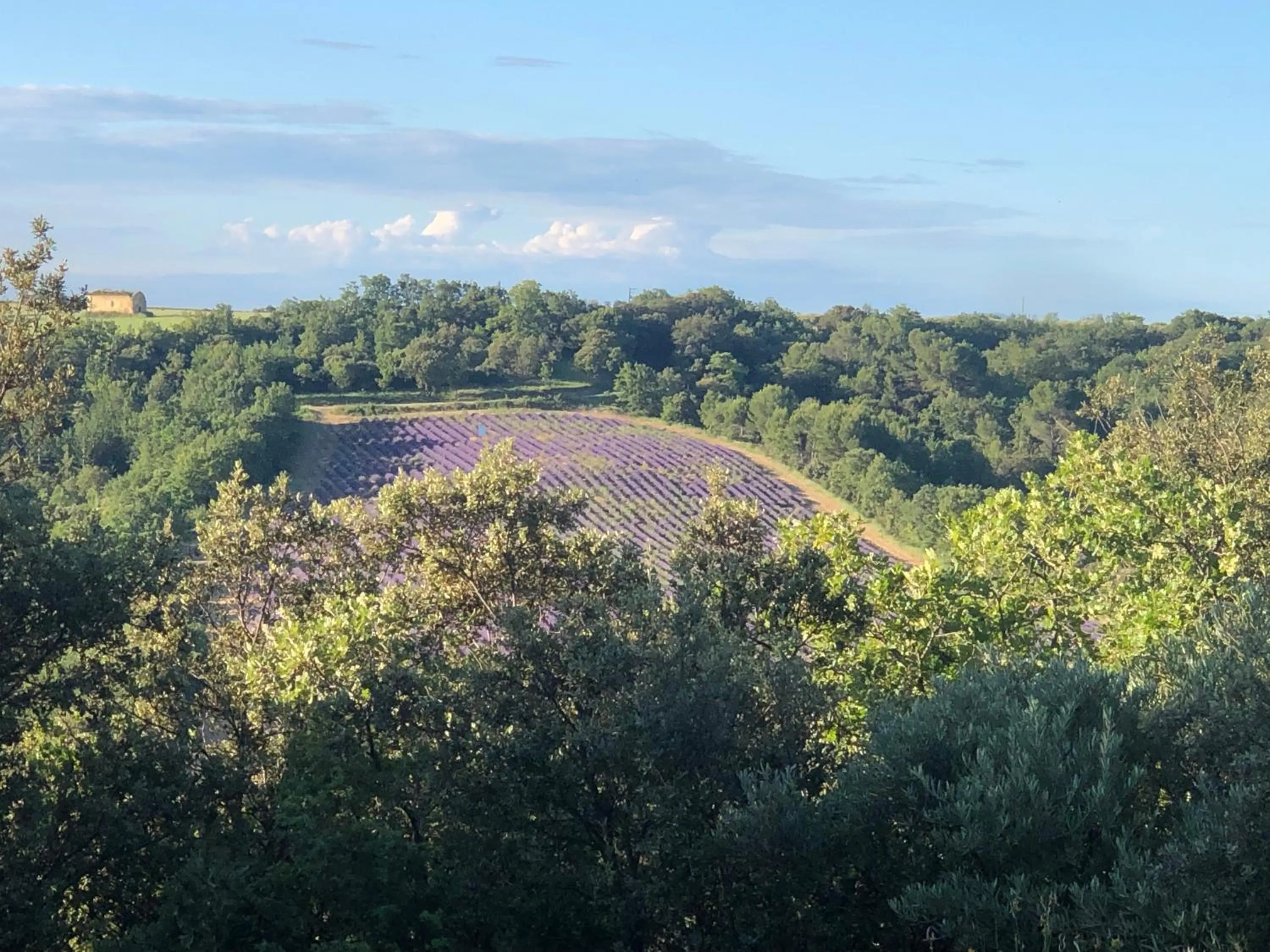 Off site in les costebelles