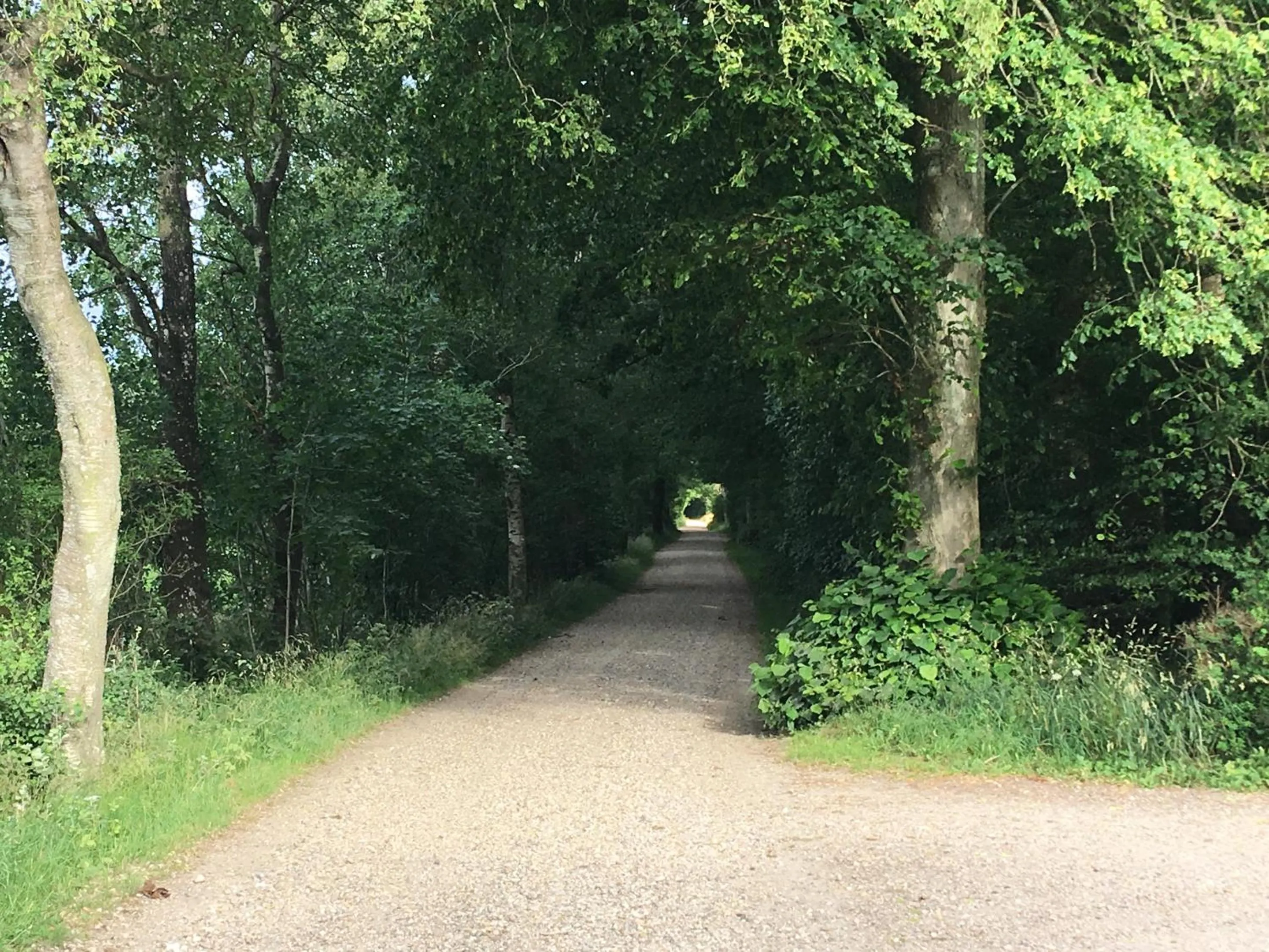 Other in Bed & Breakfast Tistrup