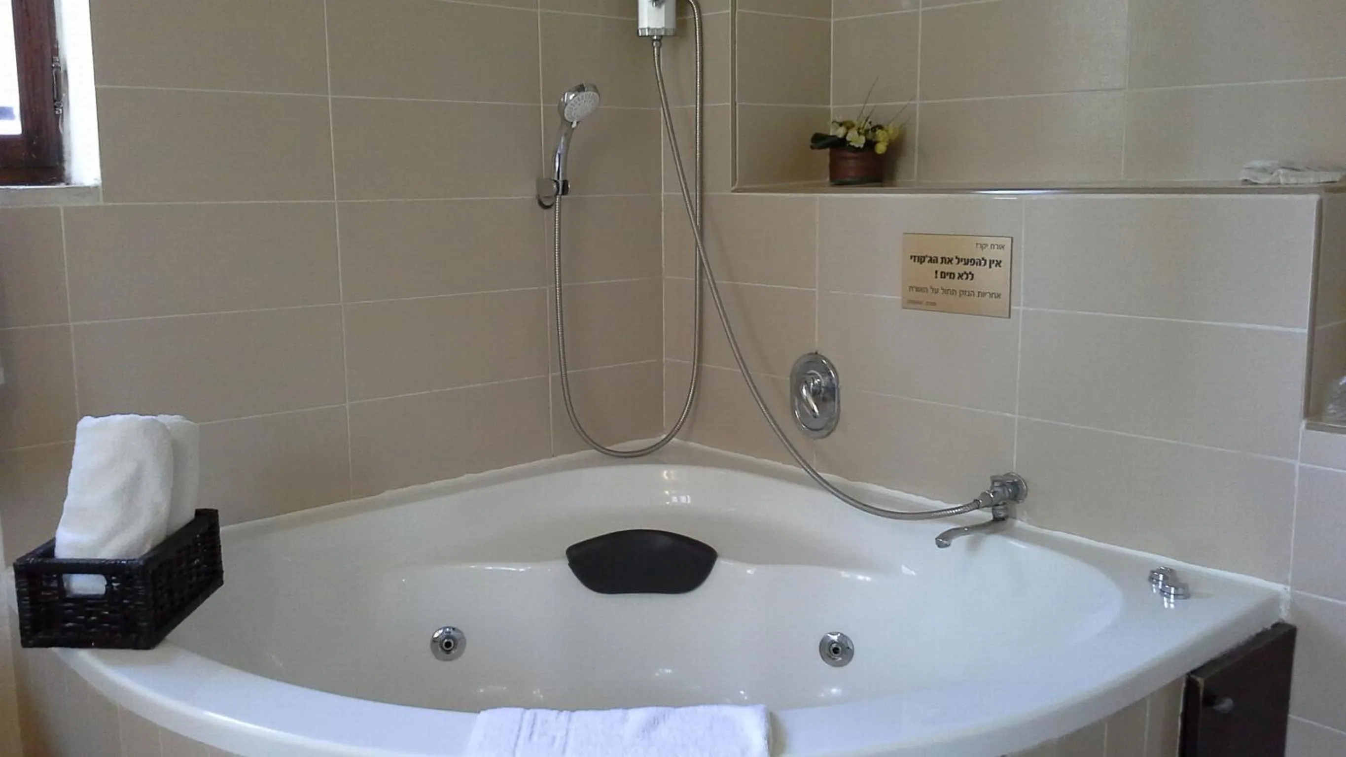 Photo of the whole room in Rothschild Mansion