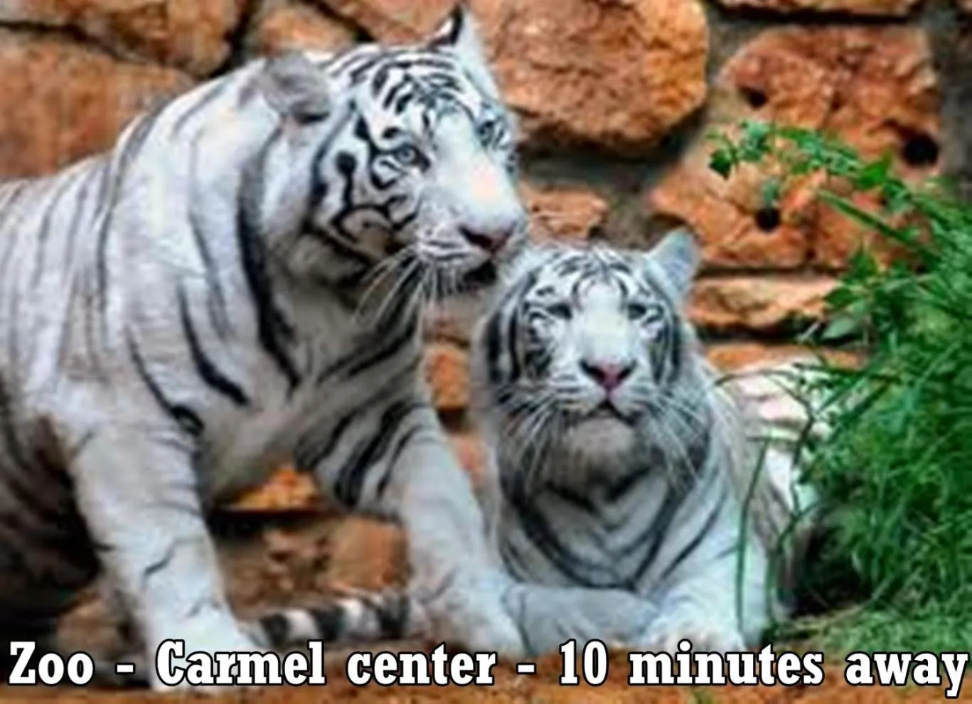 Other in Rothschild Mansion