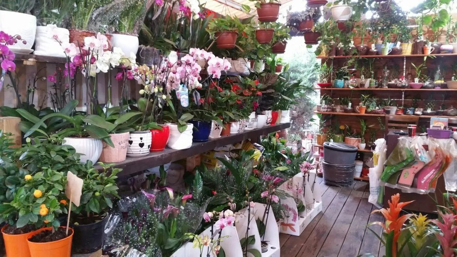 Off site in Rothschild Mansion