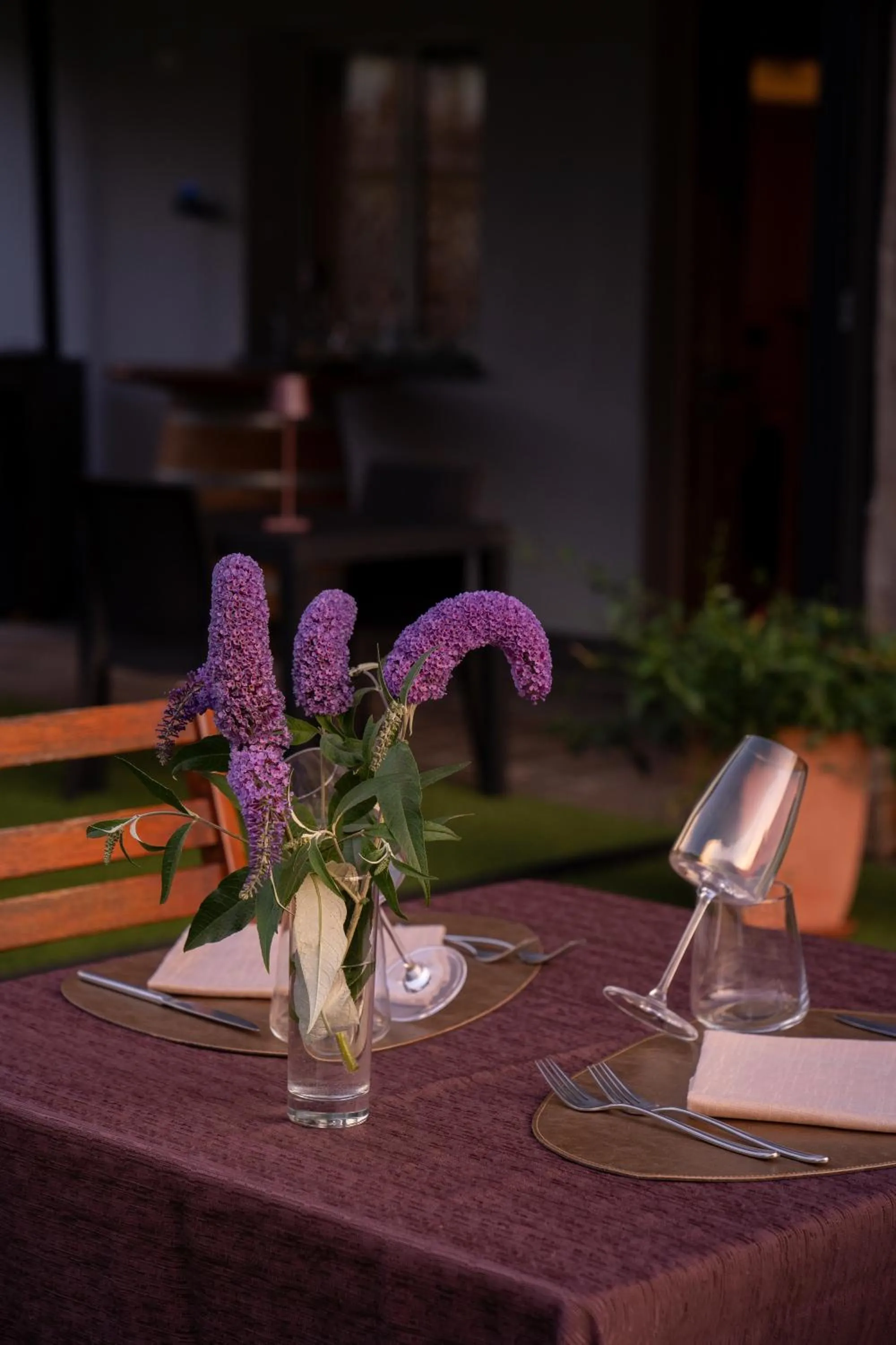 Restaurant/places to eat in Negritella Sweet Hotel