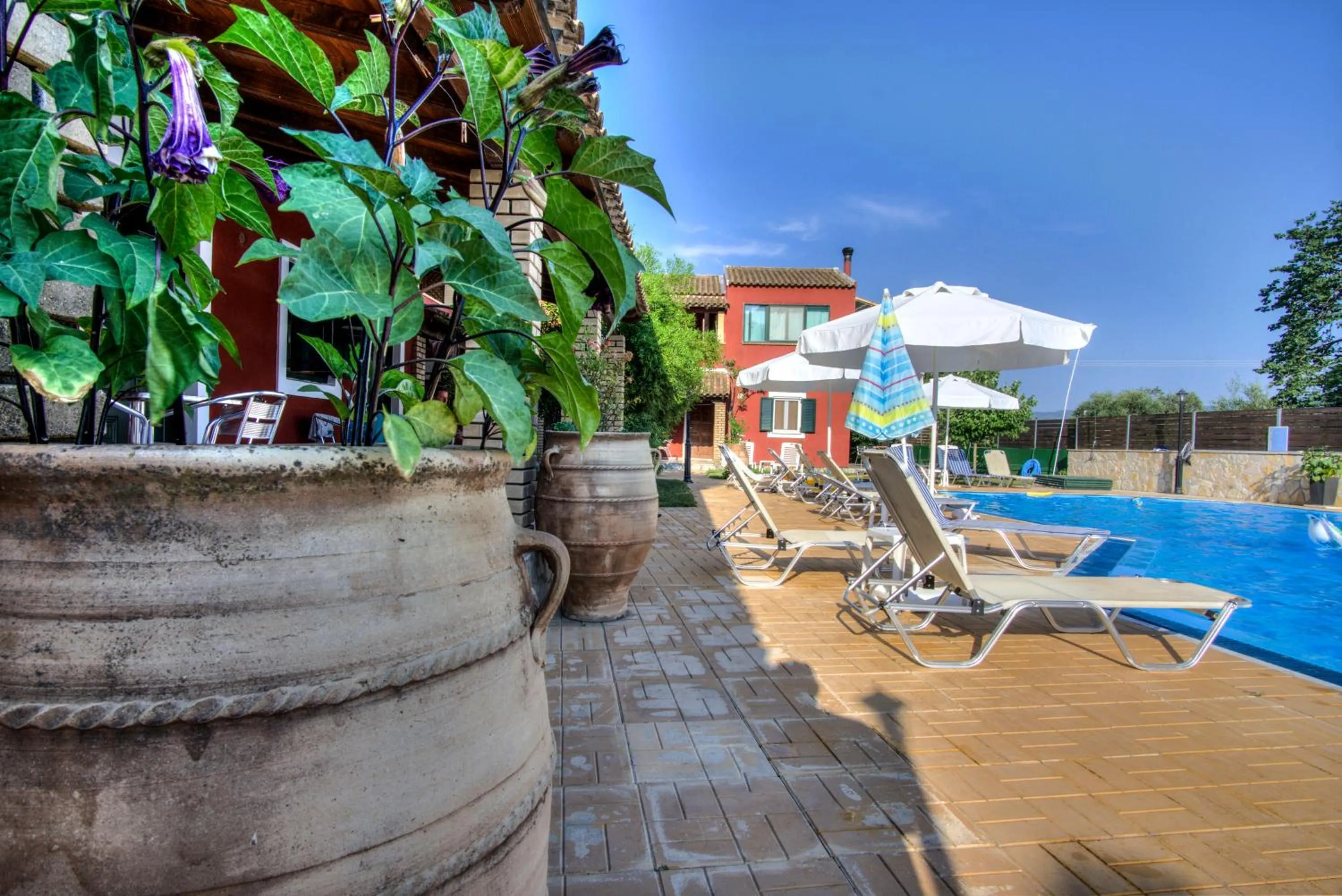 Swimming pool in Blue Dream Apartments
