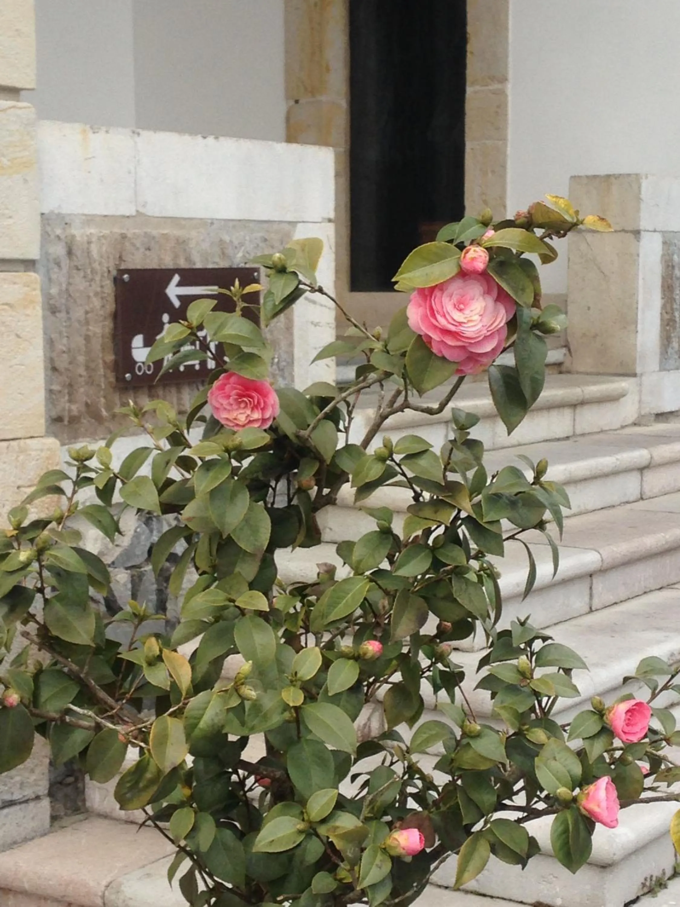 Facade/entrance in Hotel Granda