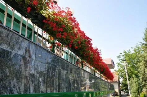 Day in Hotel President