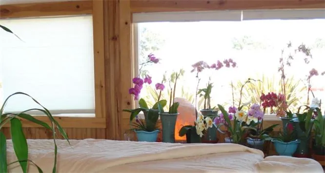 Decorative detail, Bed in Coast Inn and Spa