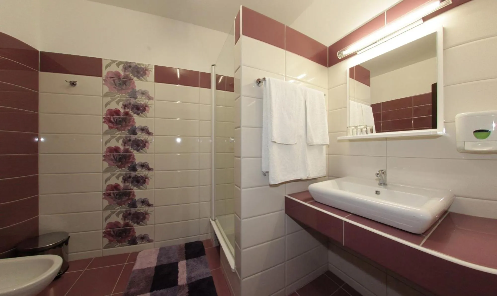 Bathroom in Hotel Poarta Transilvaniei