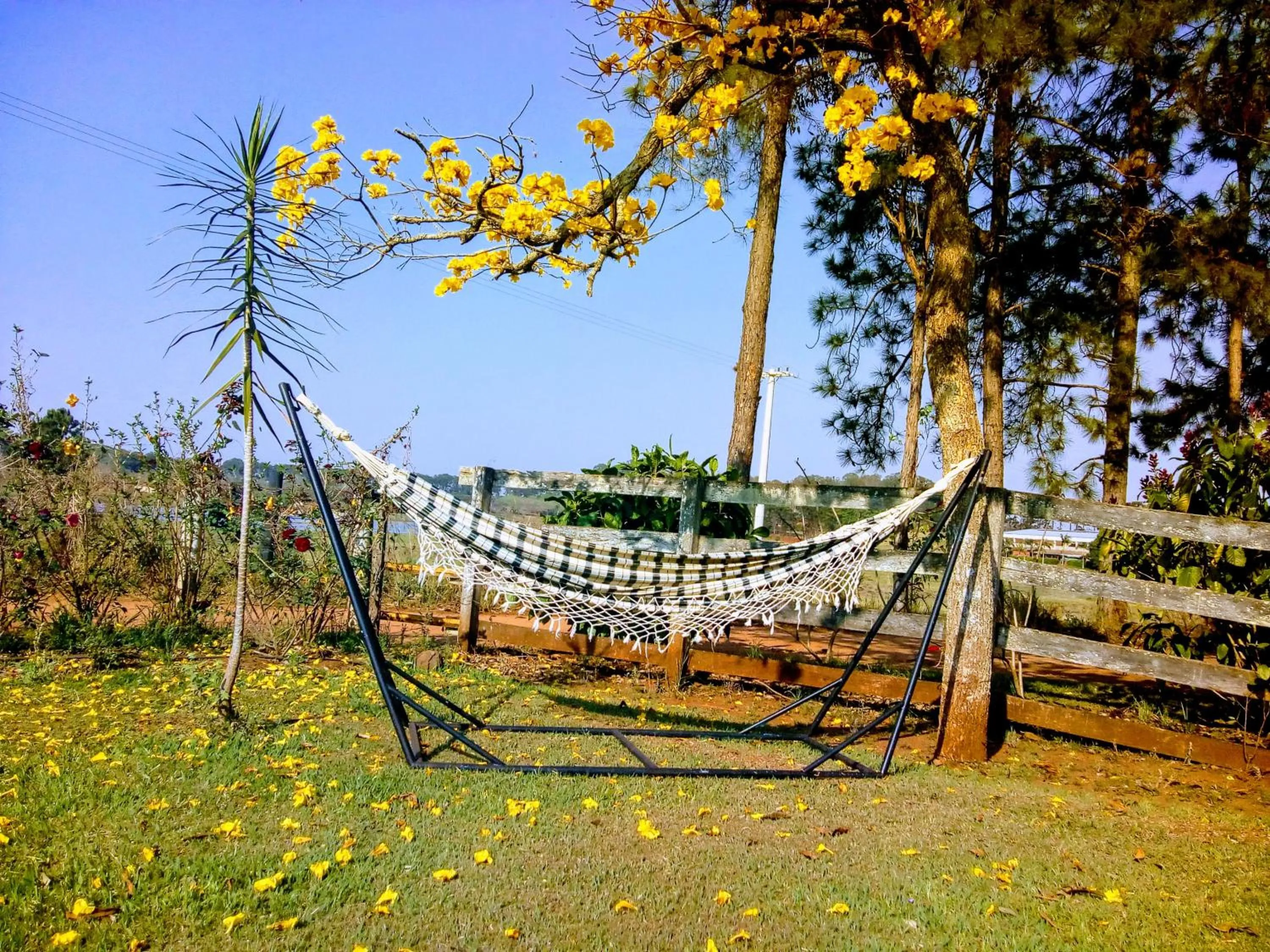 Garden in Hotel Kaeru