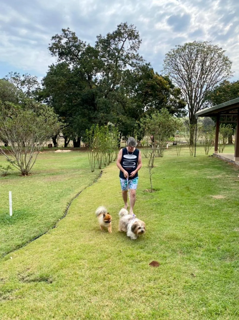 Garden in Hotel Kaeru