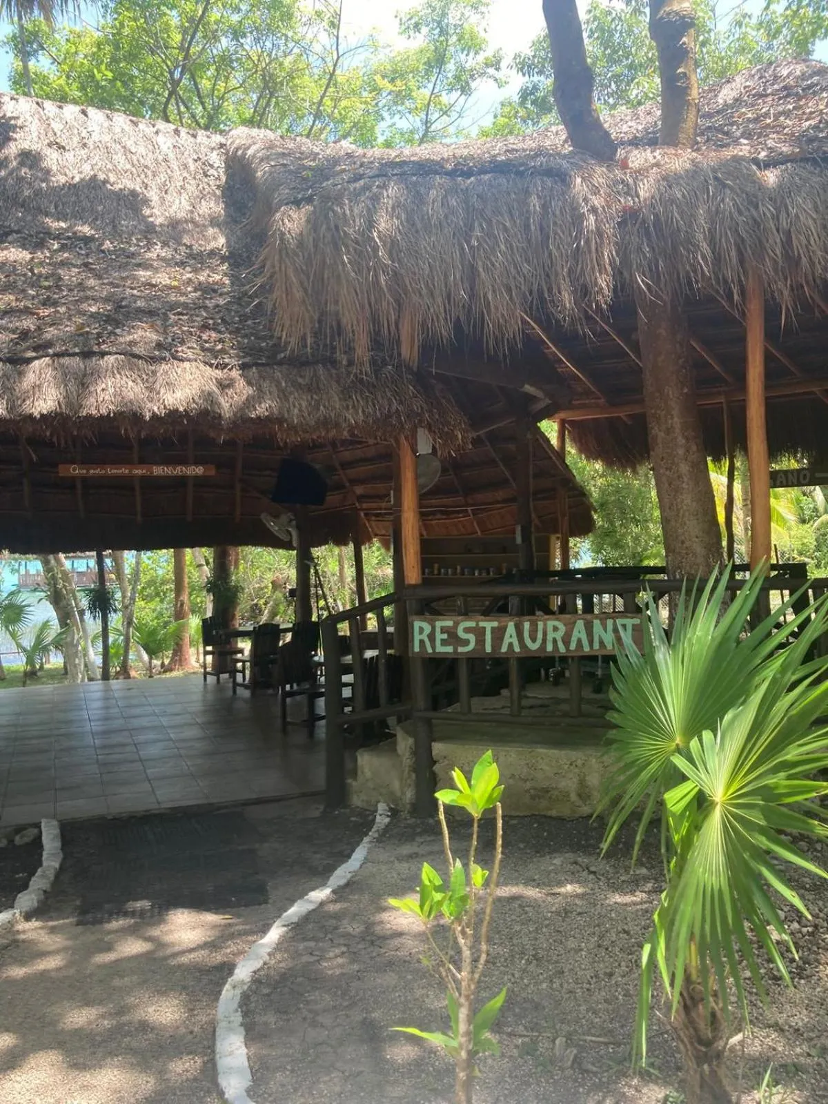 Restaurant/places to eat in Villas Eco-Románticas Kúuch Ka´anil