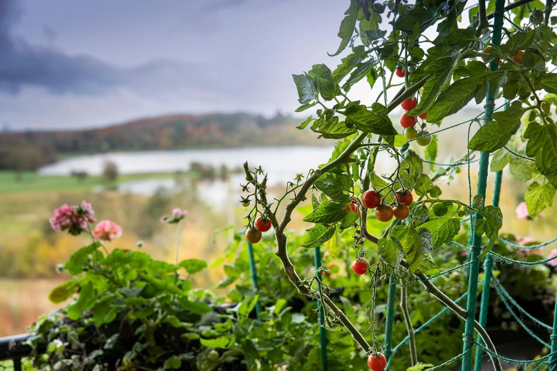 Day in Hawthorn Lodge