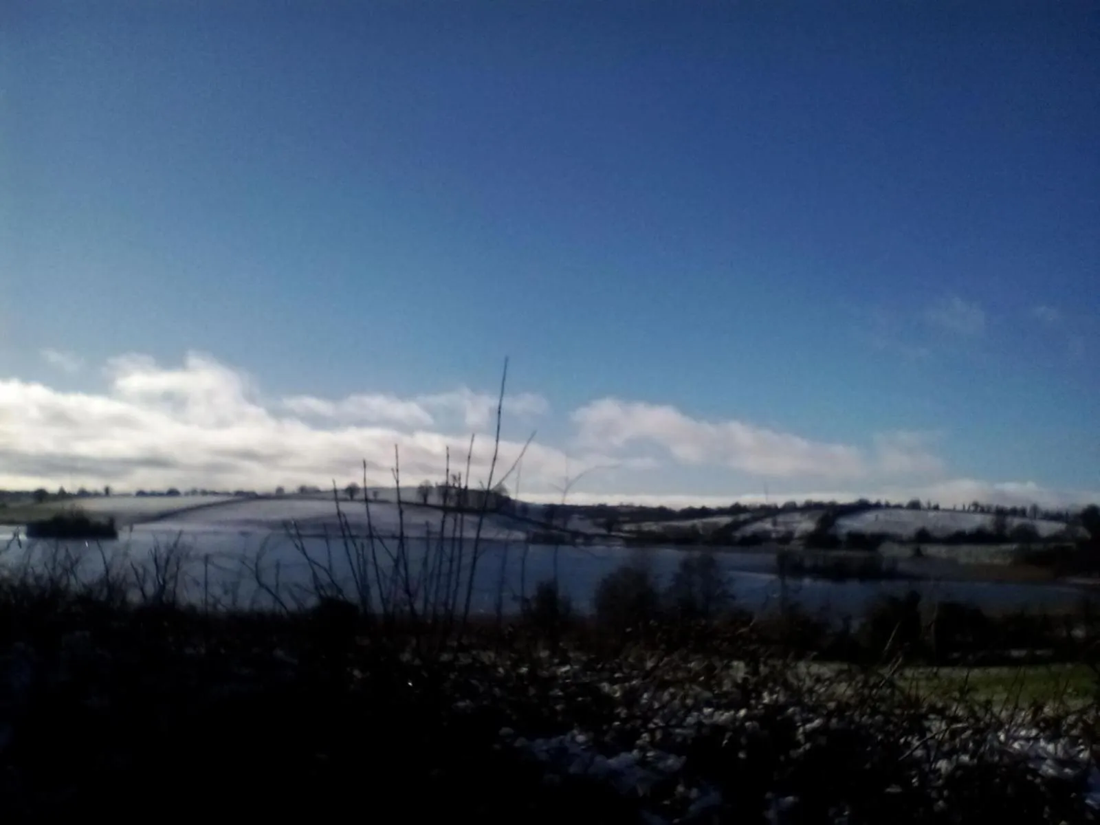 Day in Hawthorn Lodge