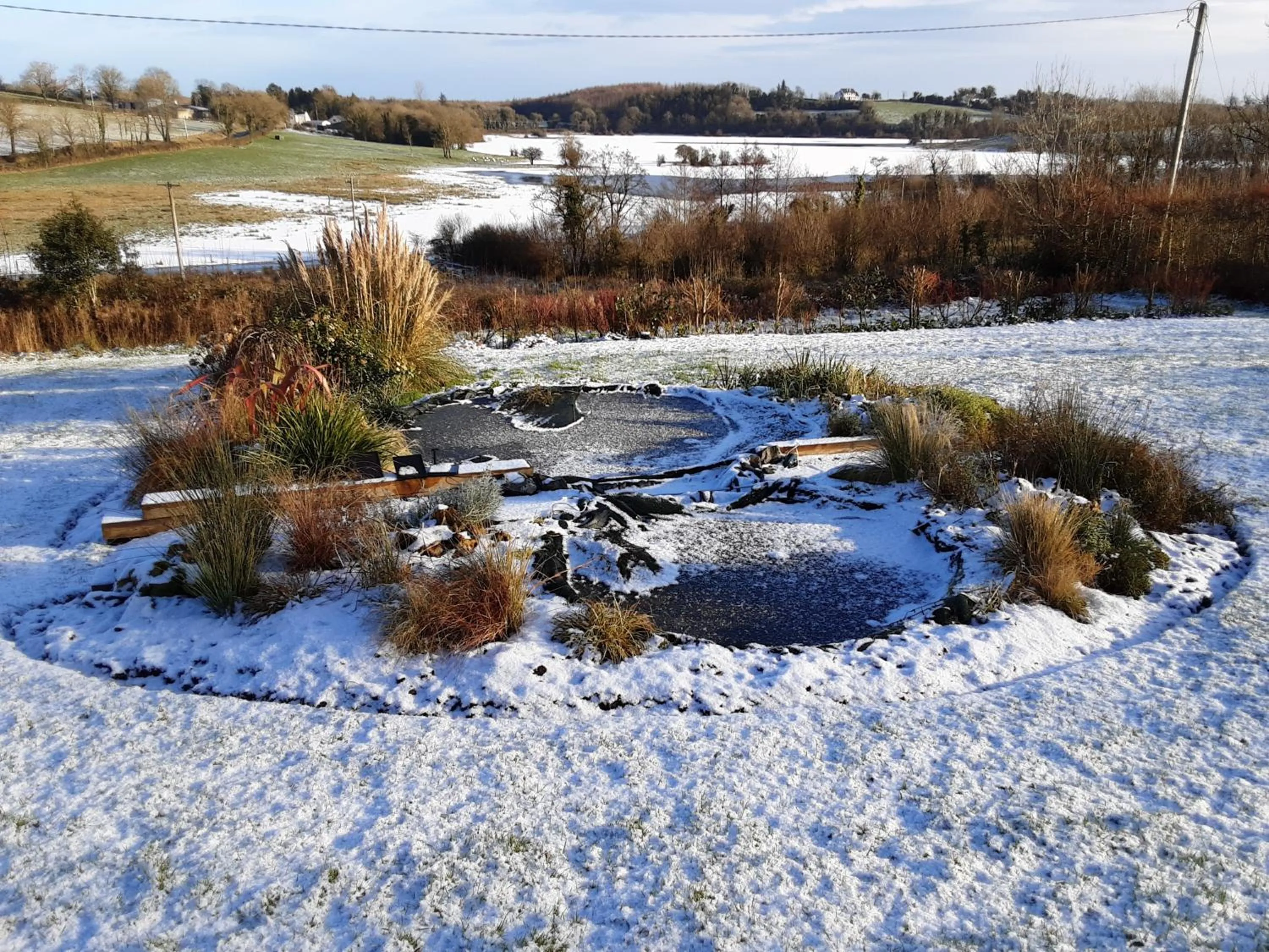 Day in Hawthorn Lodge