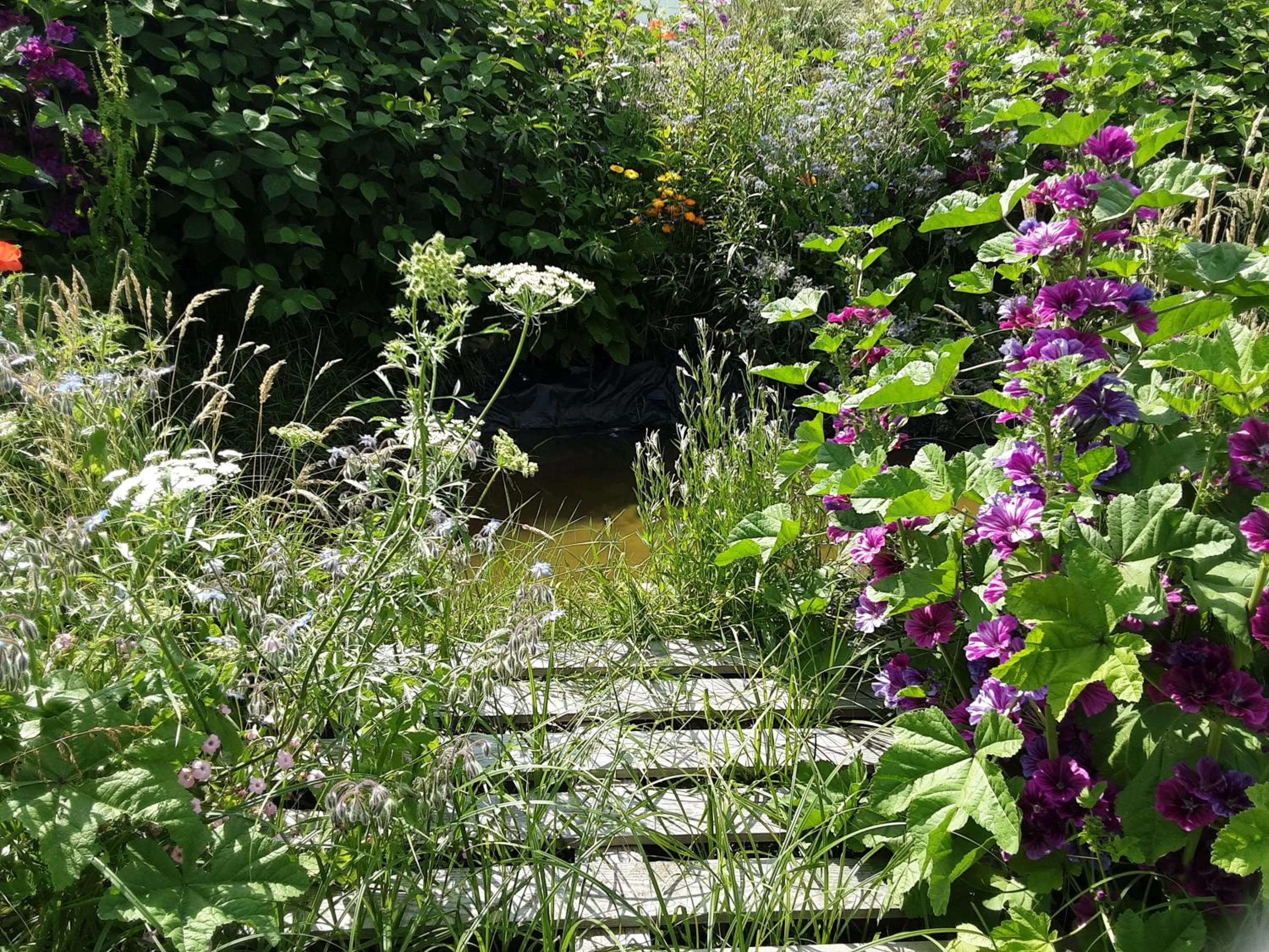 Natural landscape in Hawthorn Lodge