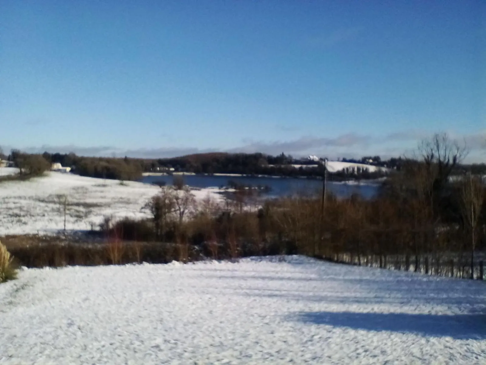 Day in Hawthorn Lodge