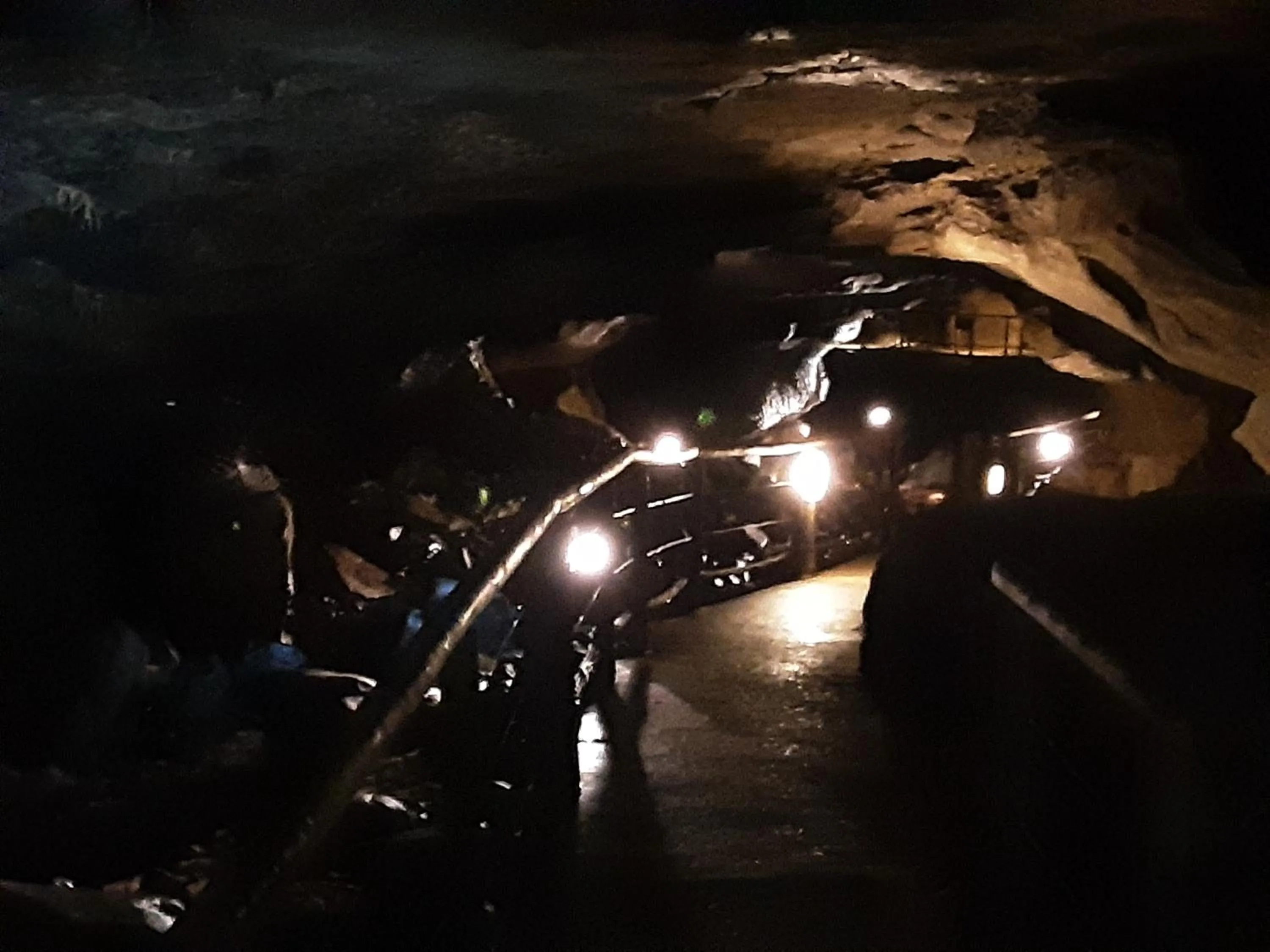 Nearby landmark in Hawthorn Lodge