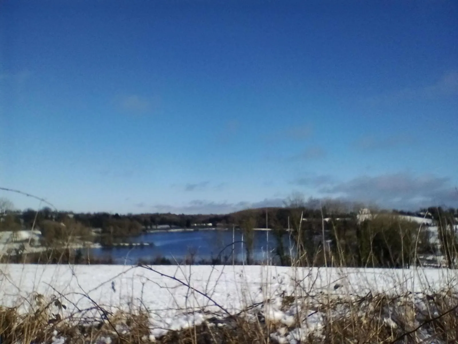 Day in Hawthorn Lodge