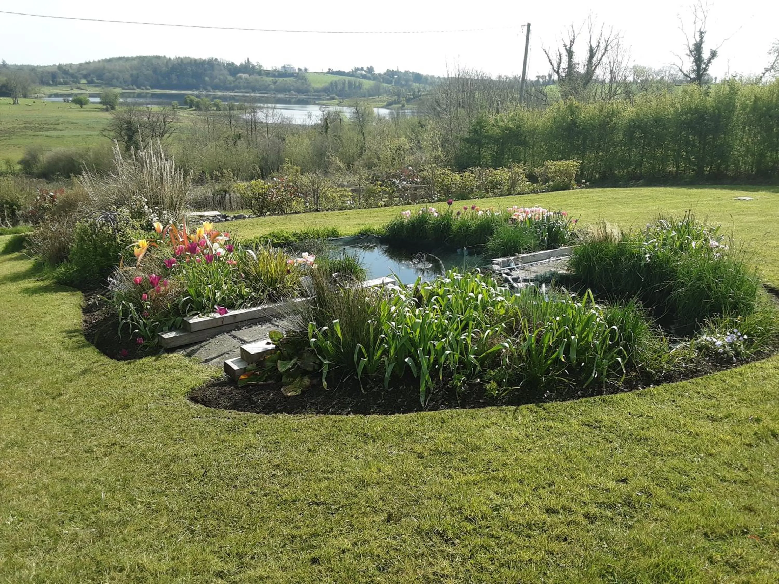 Natural landscape in Hawthorn Lodge