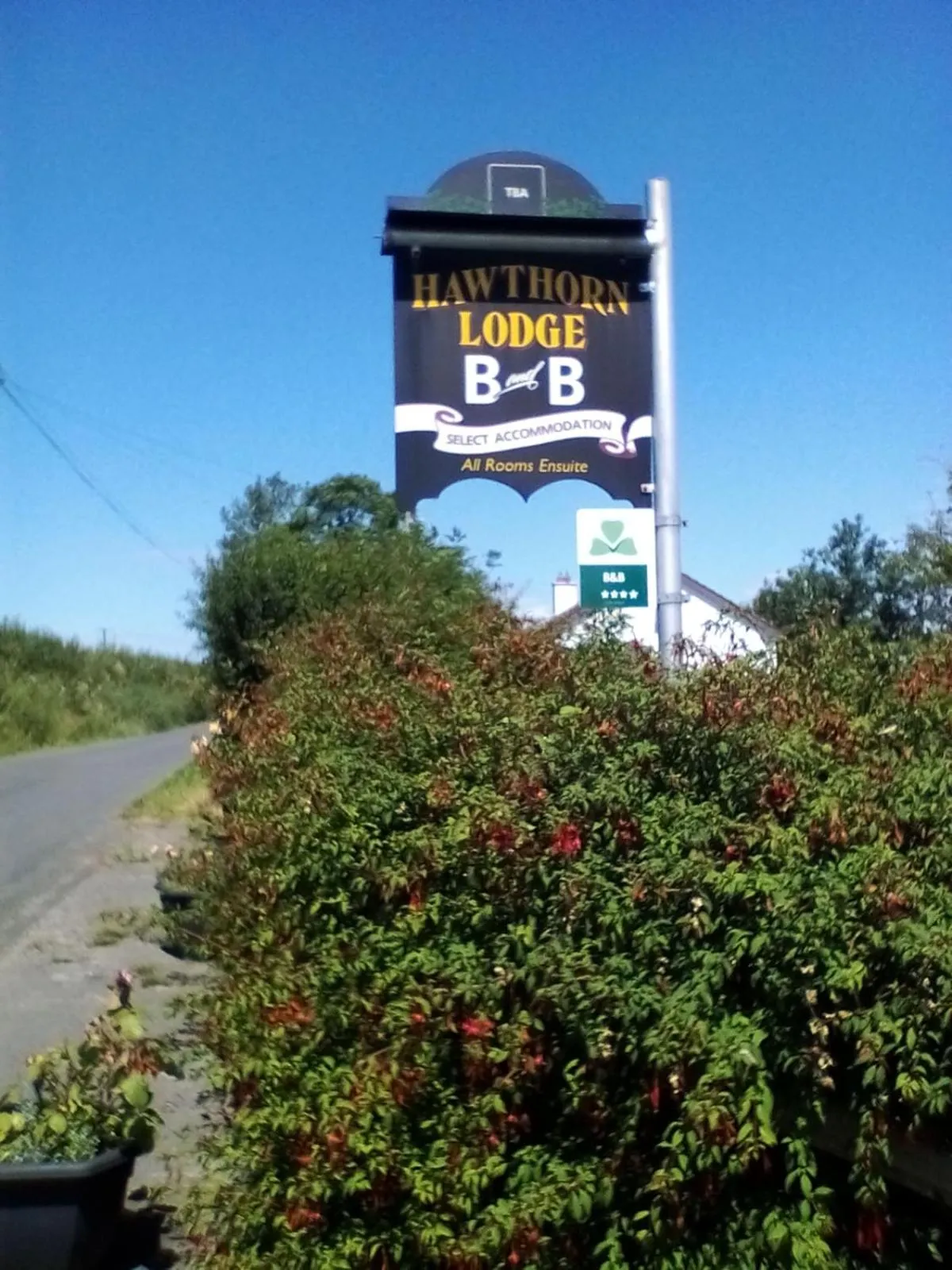 Property building in Hawthorn Lodge