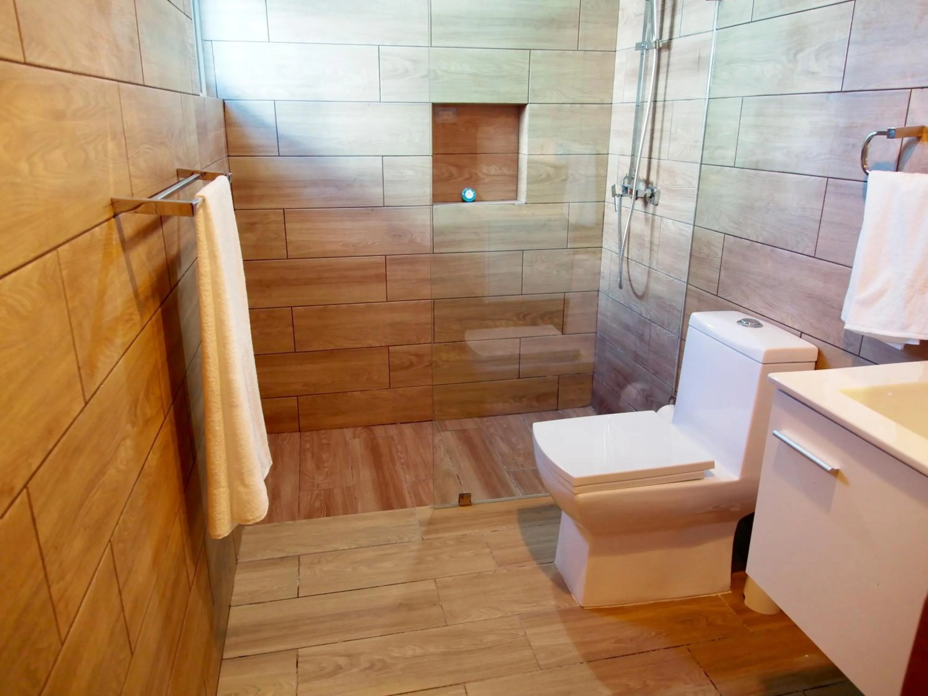 Shower in Central Park Tower