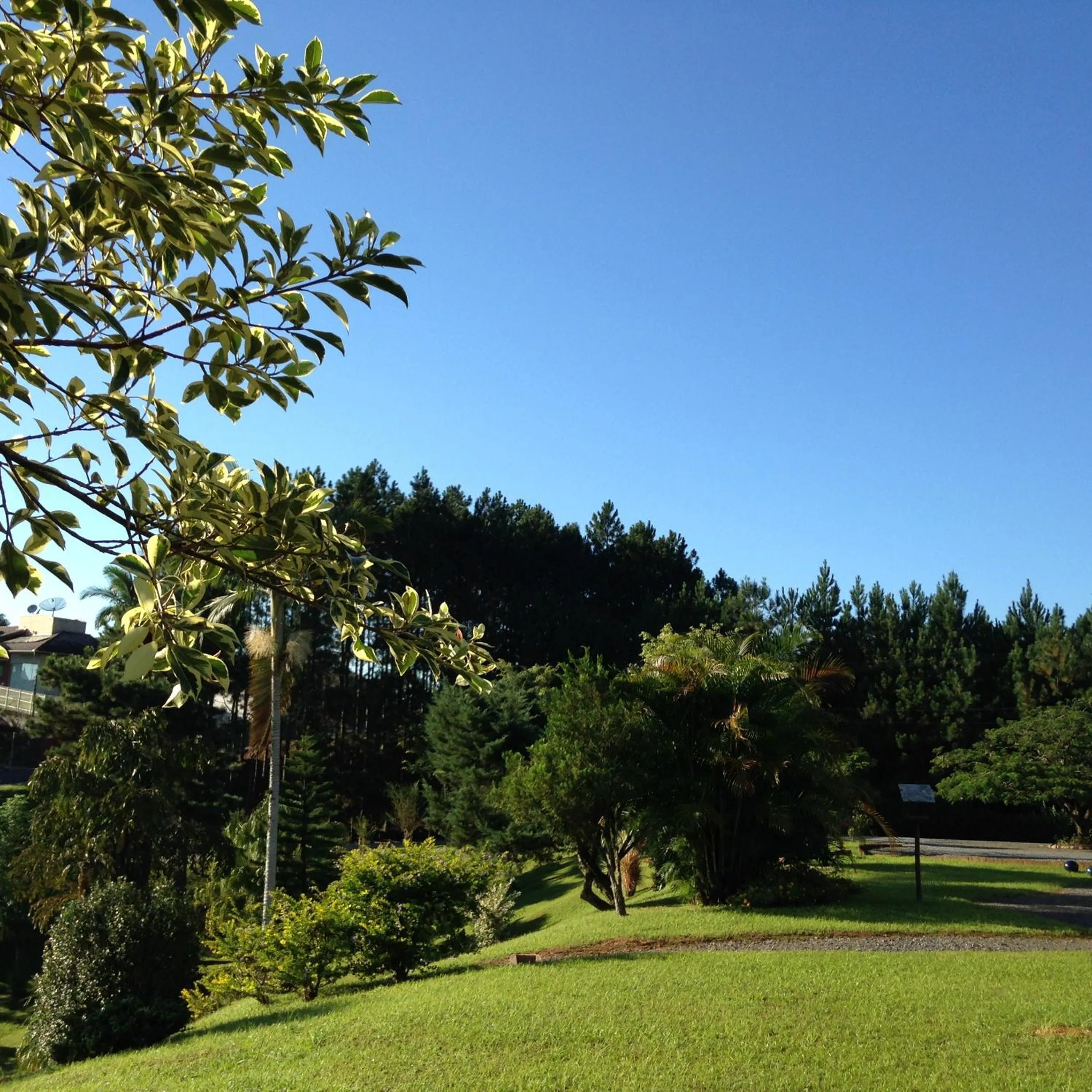 Garden in Hotel Bergblick
